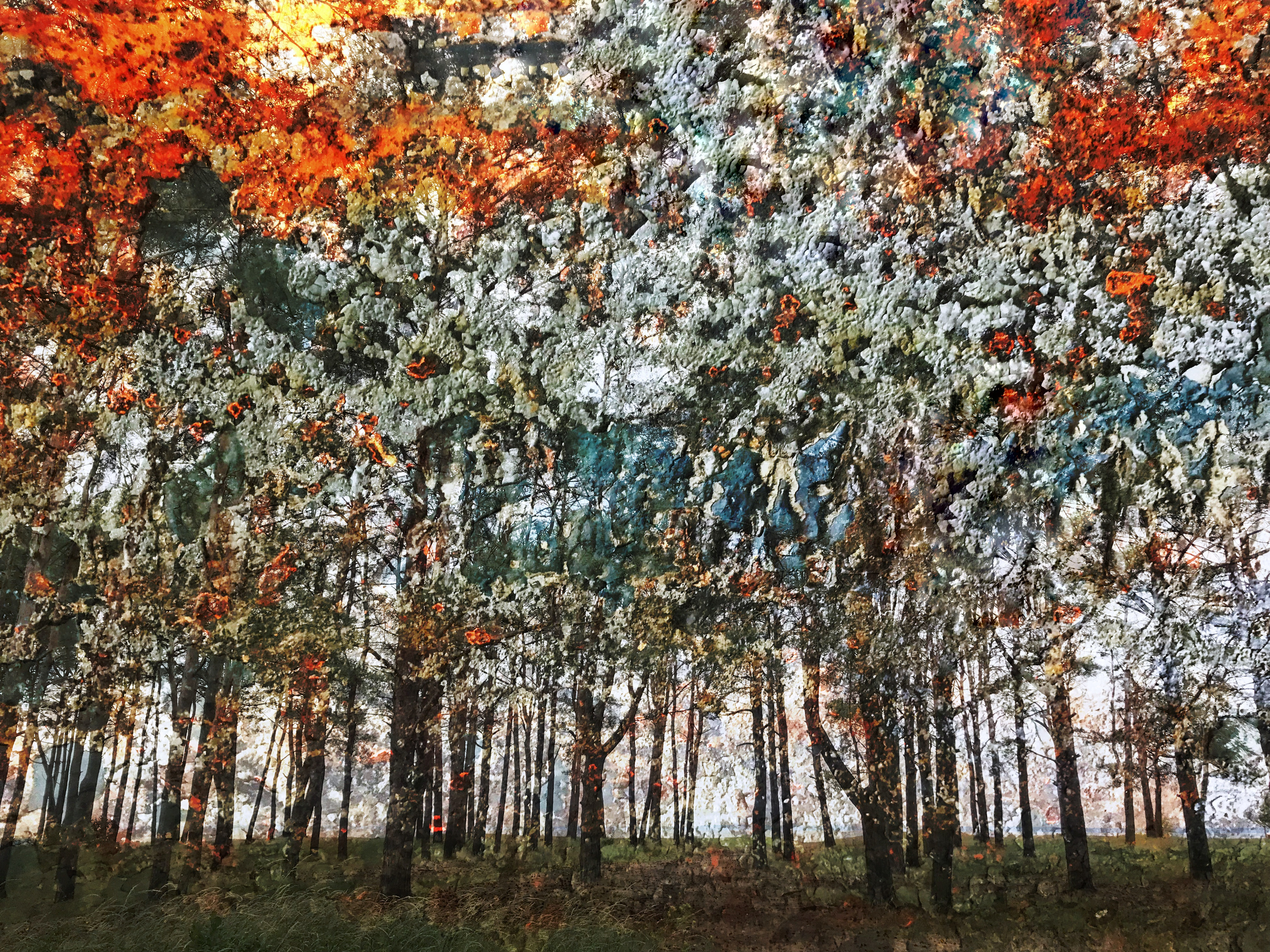 ШТУКАТУРНЫЕ ПЕЙЗАЖИ. Главная