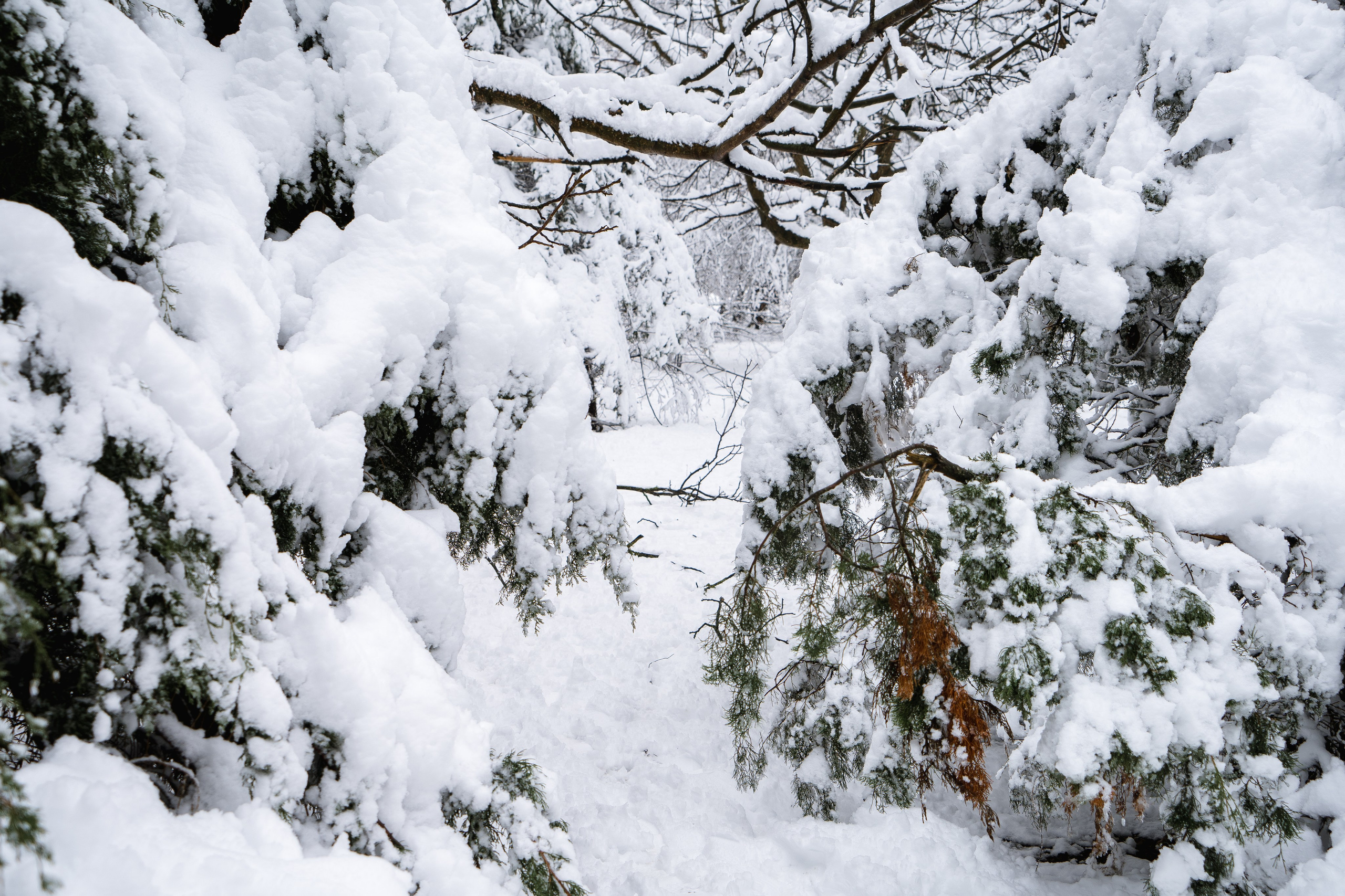 Зима 2024. Свадебный и семейный фотограф/видеограф в Краснодаре Наталья Осинская