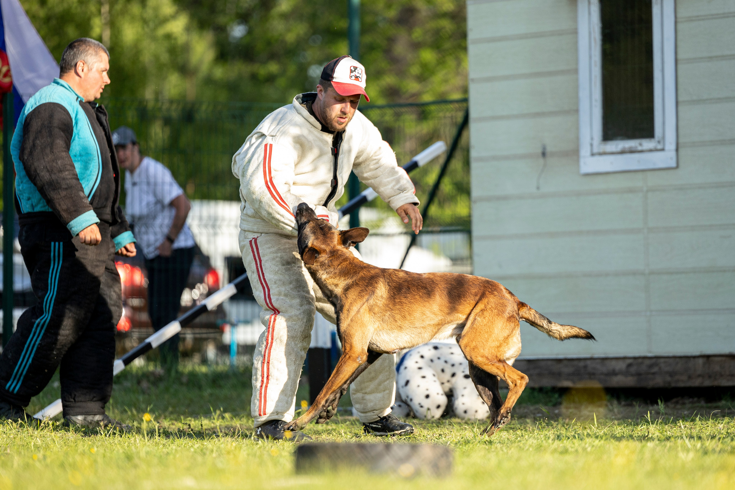 Испытания по мондьорингу в Нижнем Новгороде. Фотограф-анималист Анна Маринич