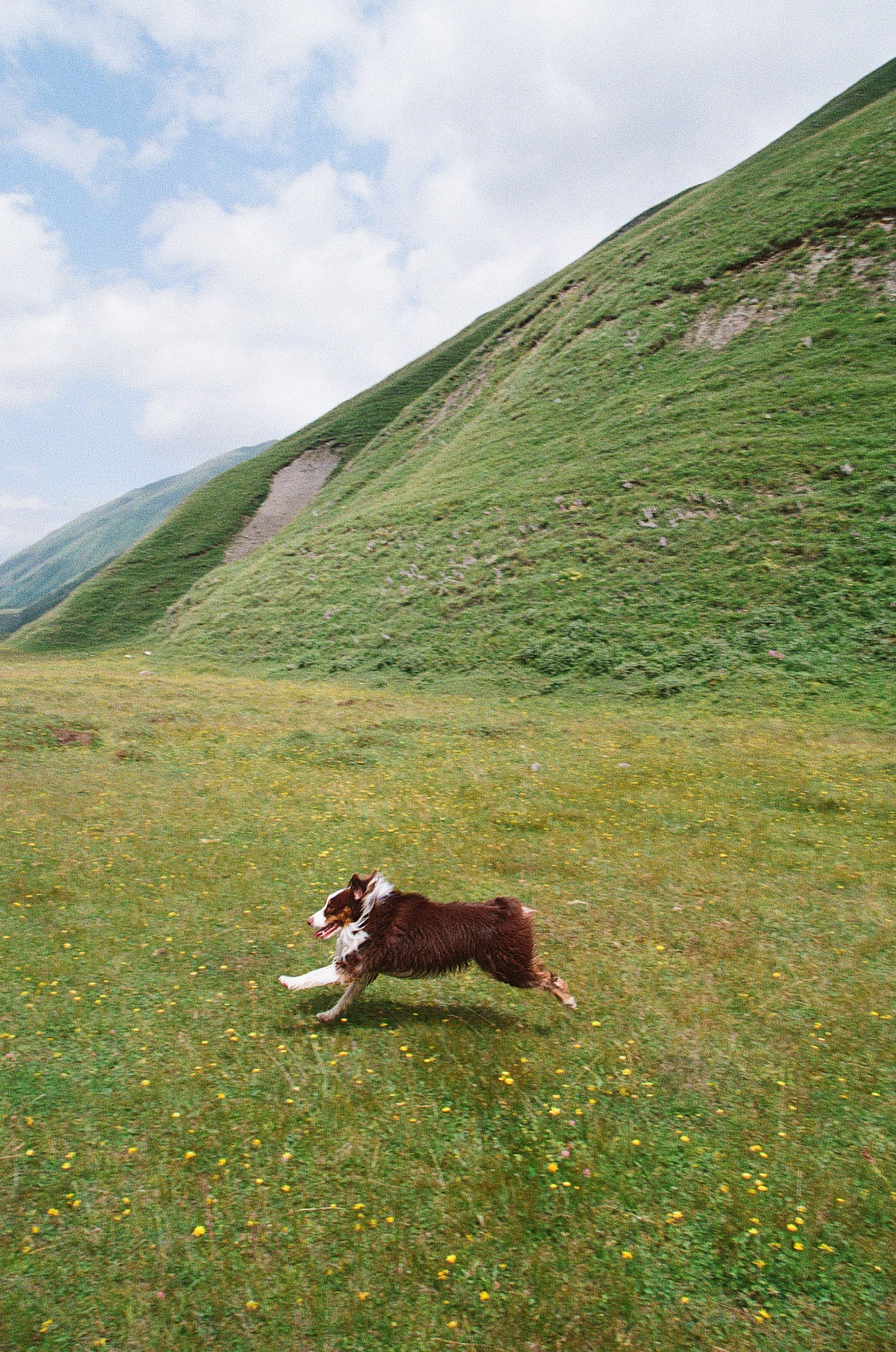 ГРУЗИЯ. ПРИРОДА.25. Профессиональный фотограф Федотова Арина