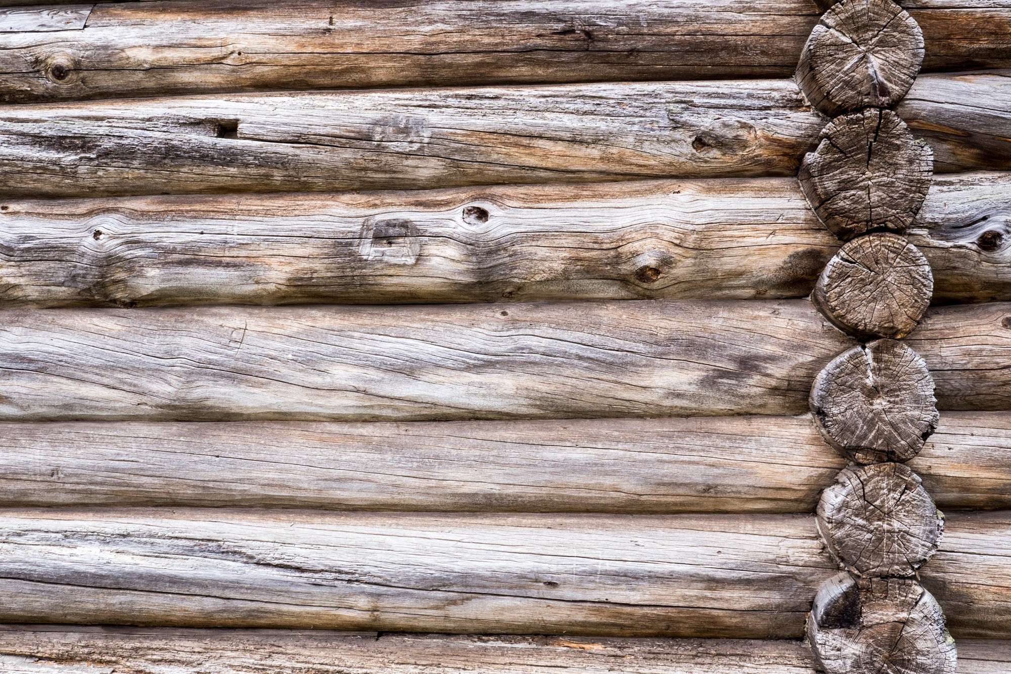 Новгород. Фотограф Алексей Скоробогатько