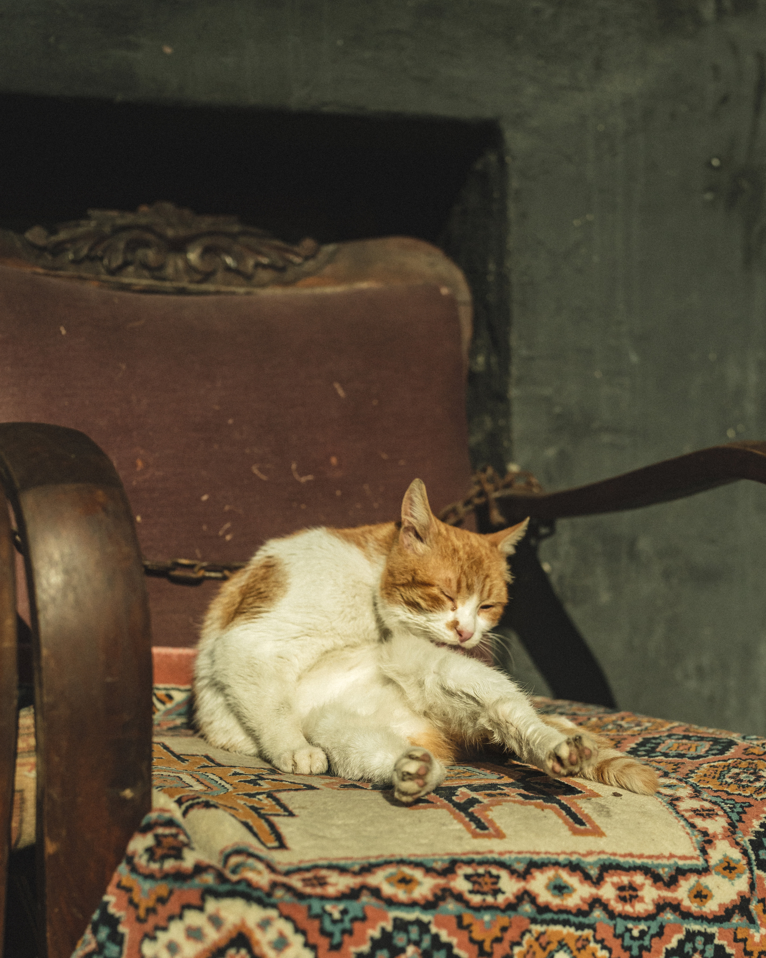 Street. Если ты на Земле — звони