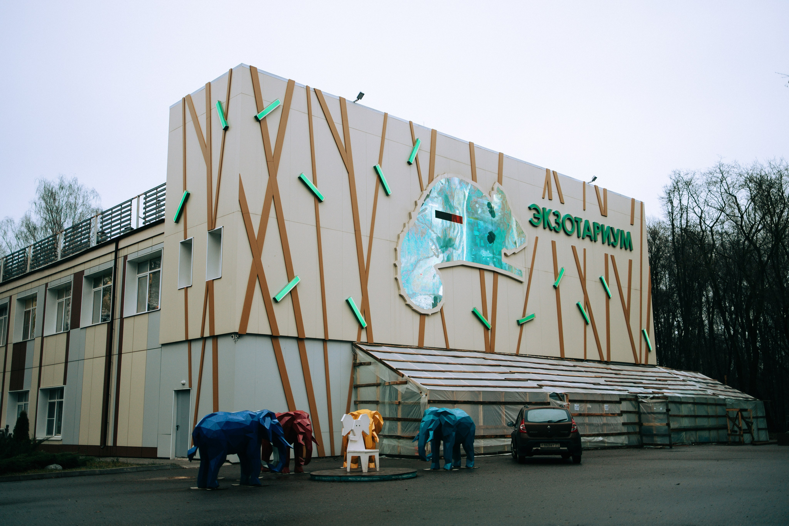 Осень, парк, экзотариум. Свадебный и семейный фотограф в Туле и области Маша Костина