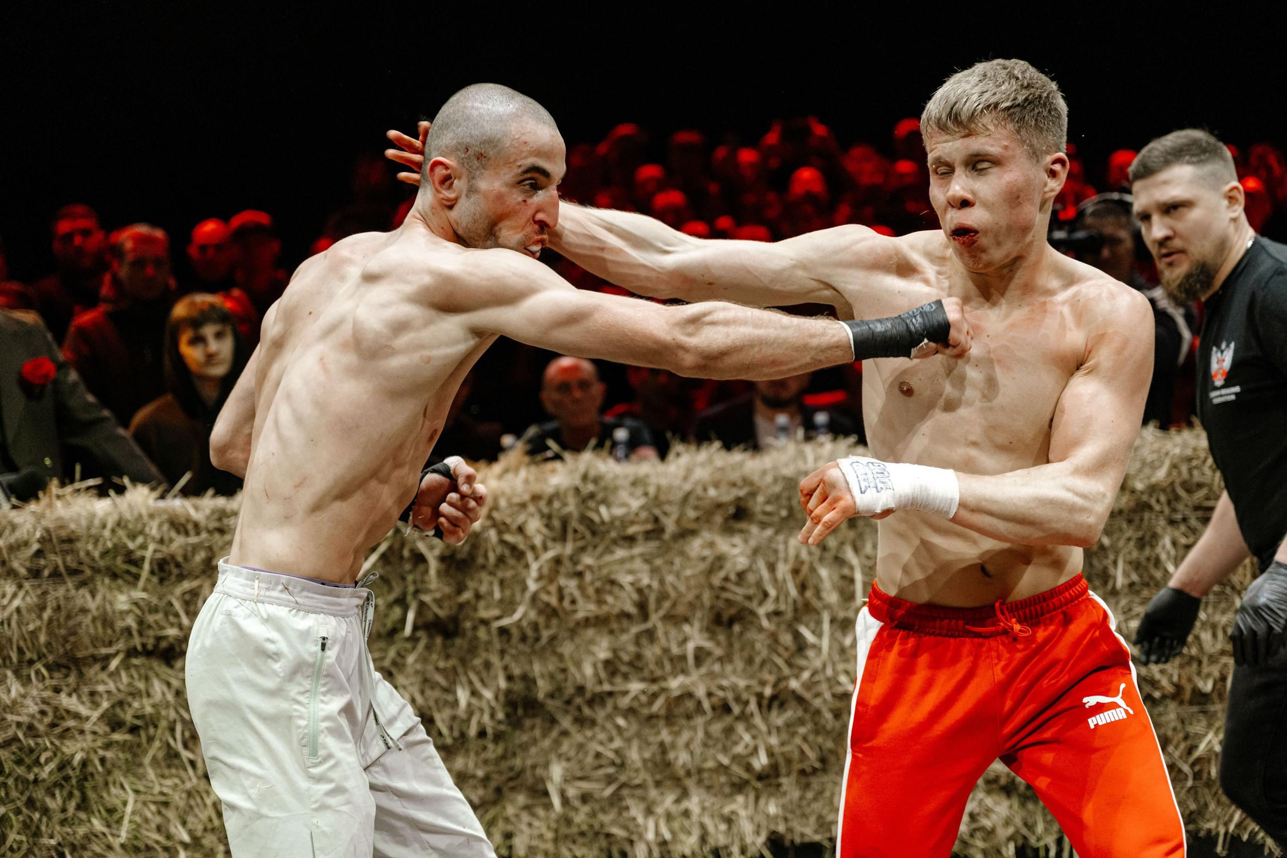 TOP DOG. Максим Комаров — Профессиональный фотограф