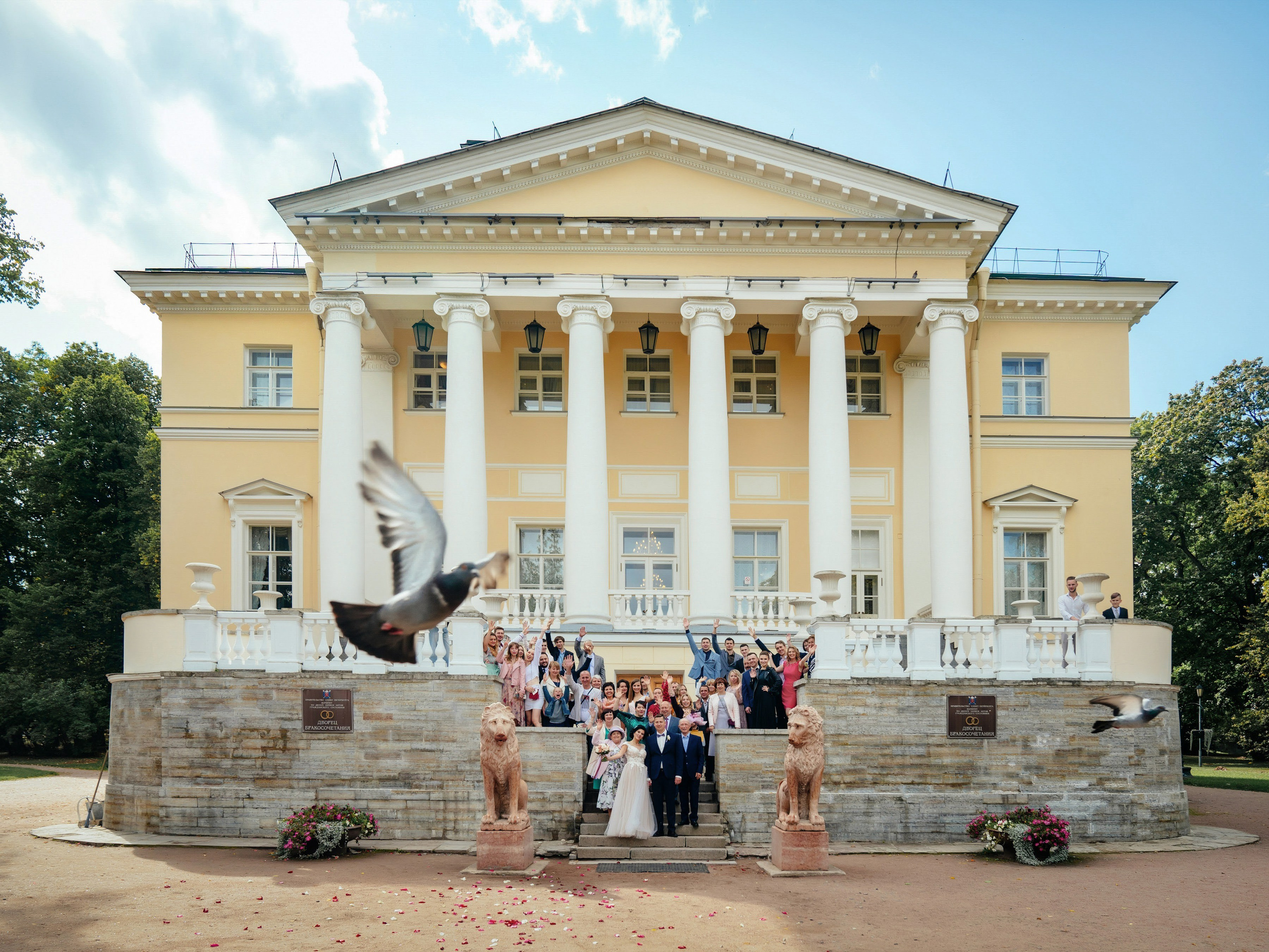 Портфолио. Свадебный и репортажный фотограф