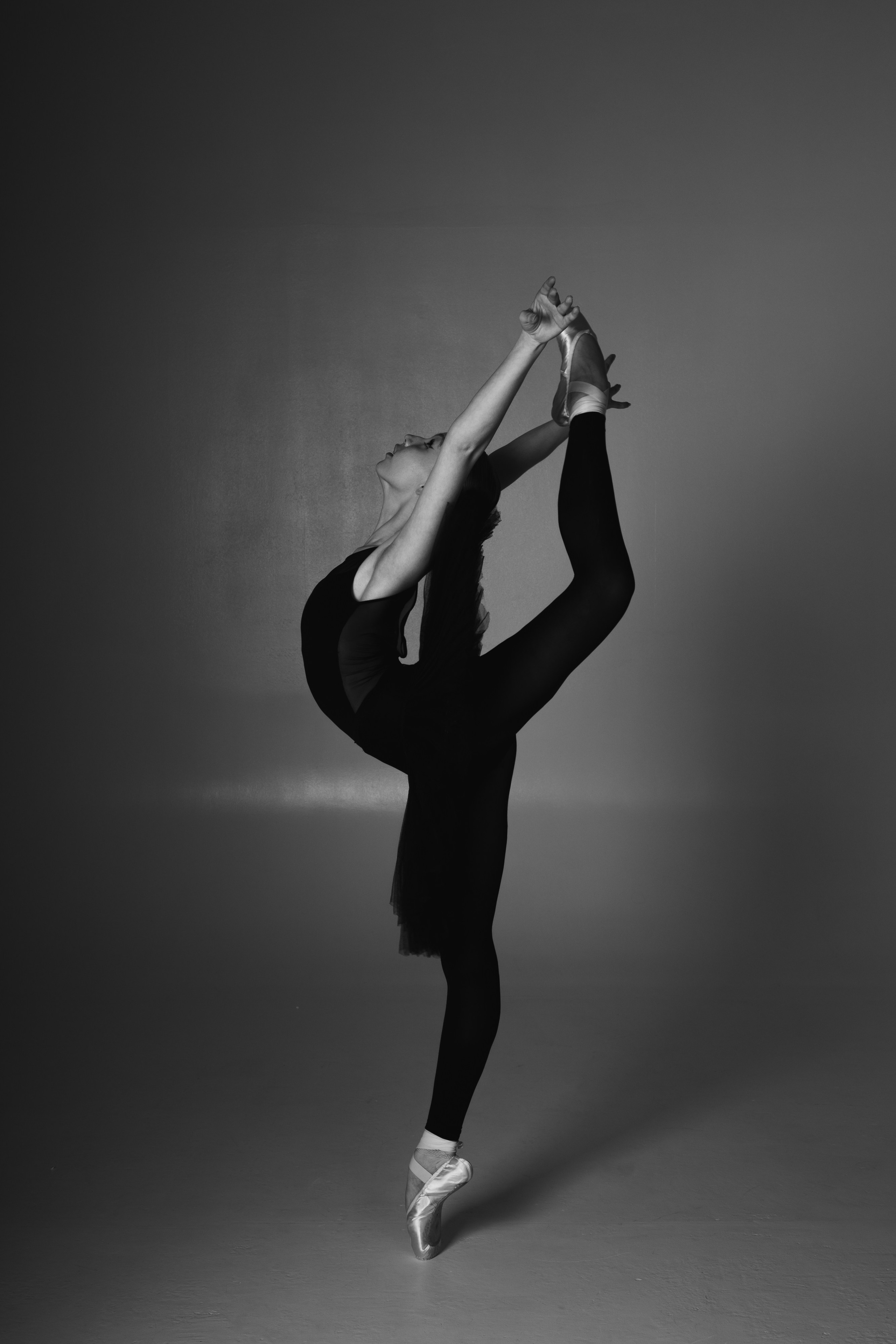 София. Свадебный и семейный фотограф в Новосибирске Дарья Кель