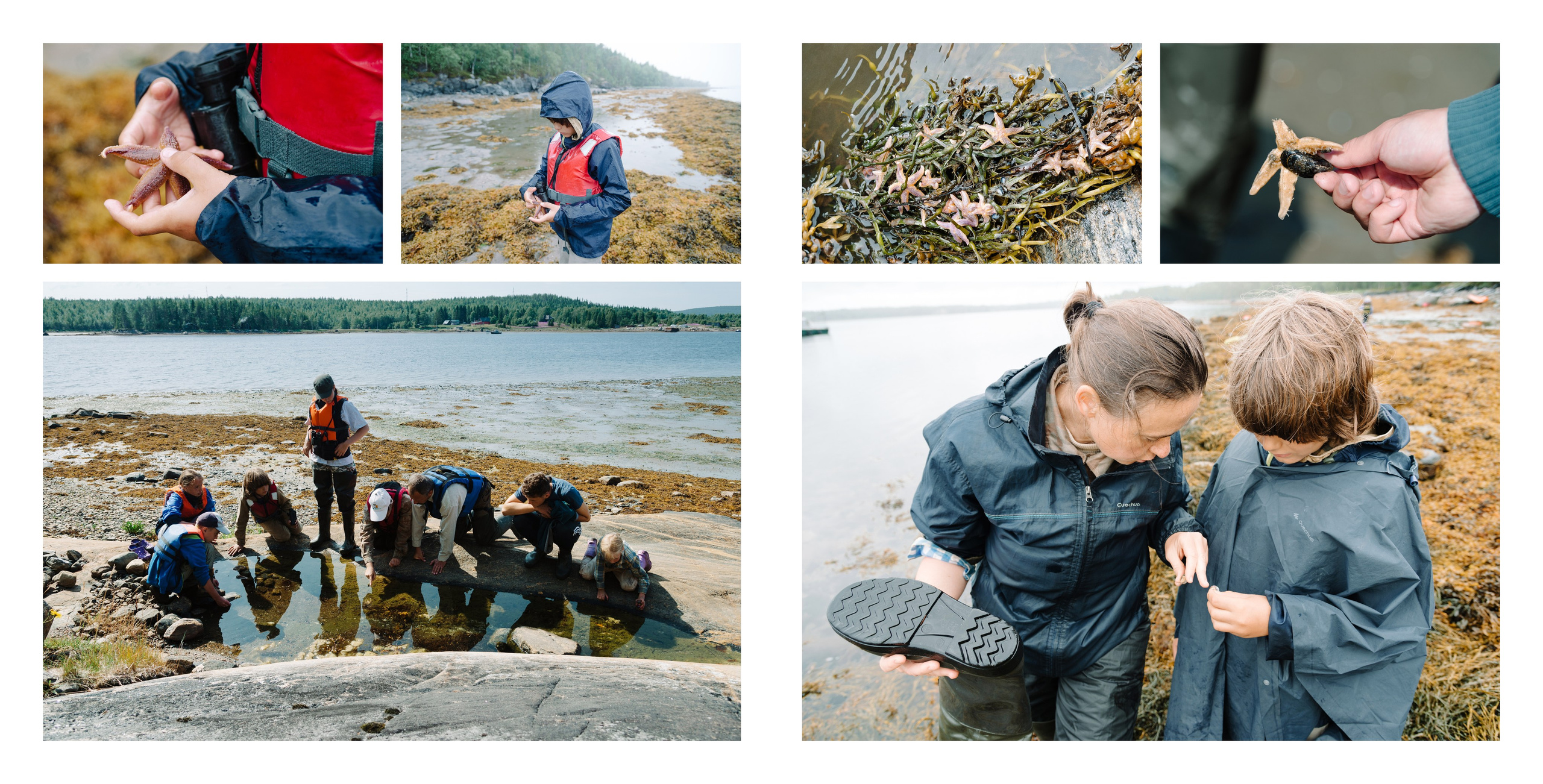 Белое море. Фотограф Алиса Калинина