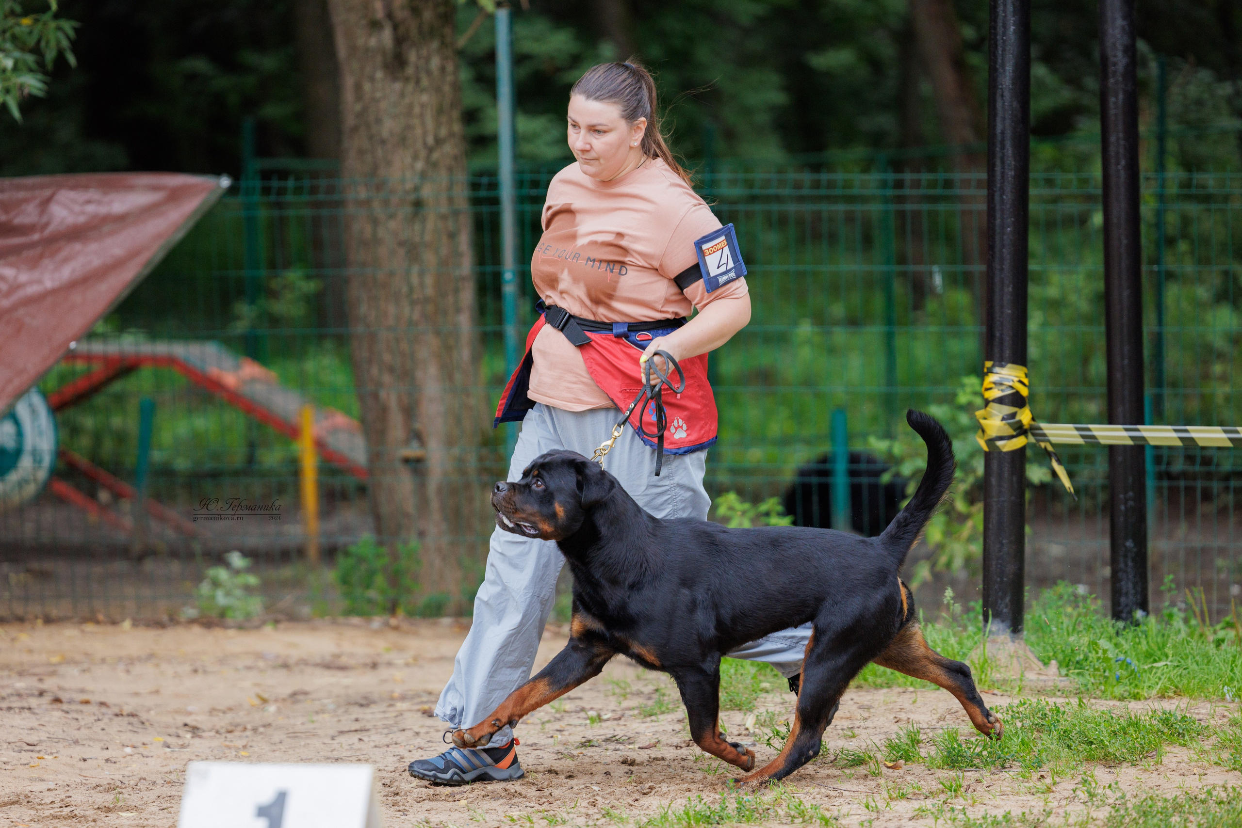 Рязань-Ховрино 10-11.08.2024 3хмоно ротвейлеров. Фотограф-анималист Юлия Германика