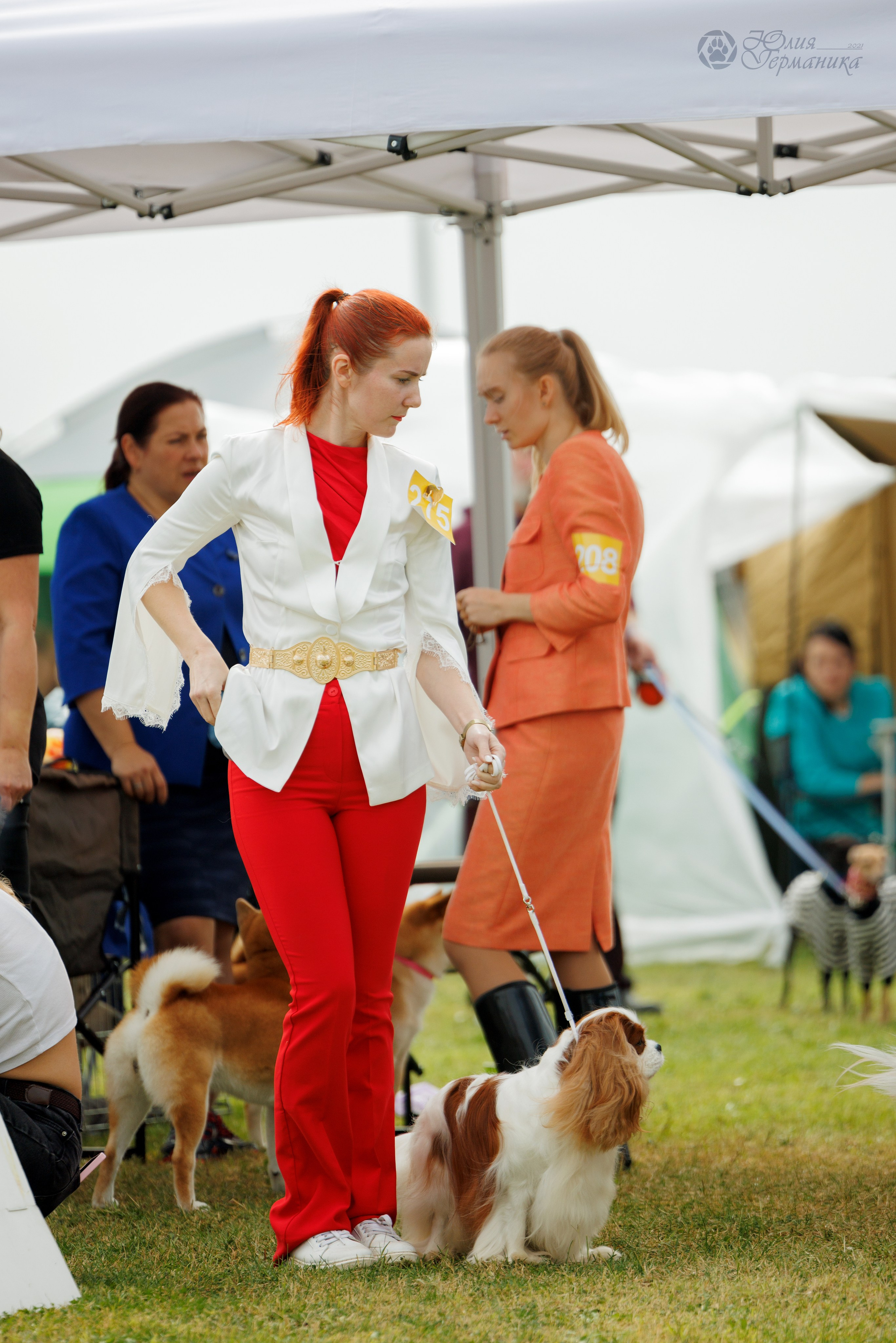 Армения,Ереван 3хCACIB 15-17.10.2024. Фотограф-анималист Юлия Германика