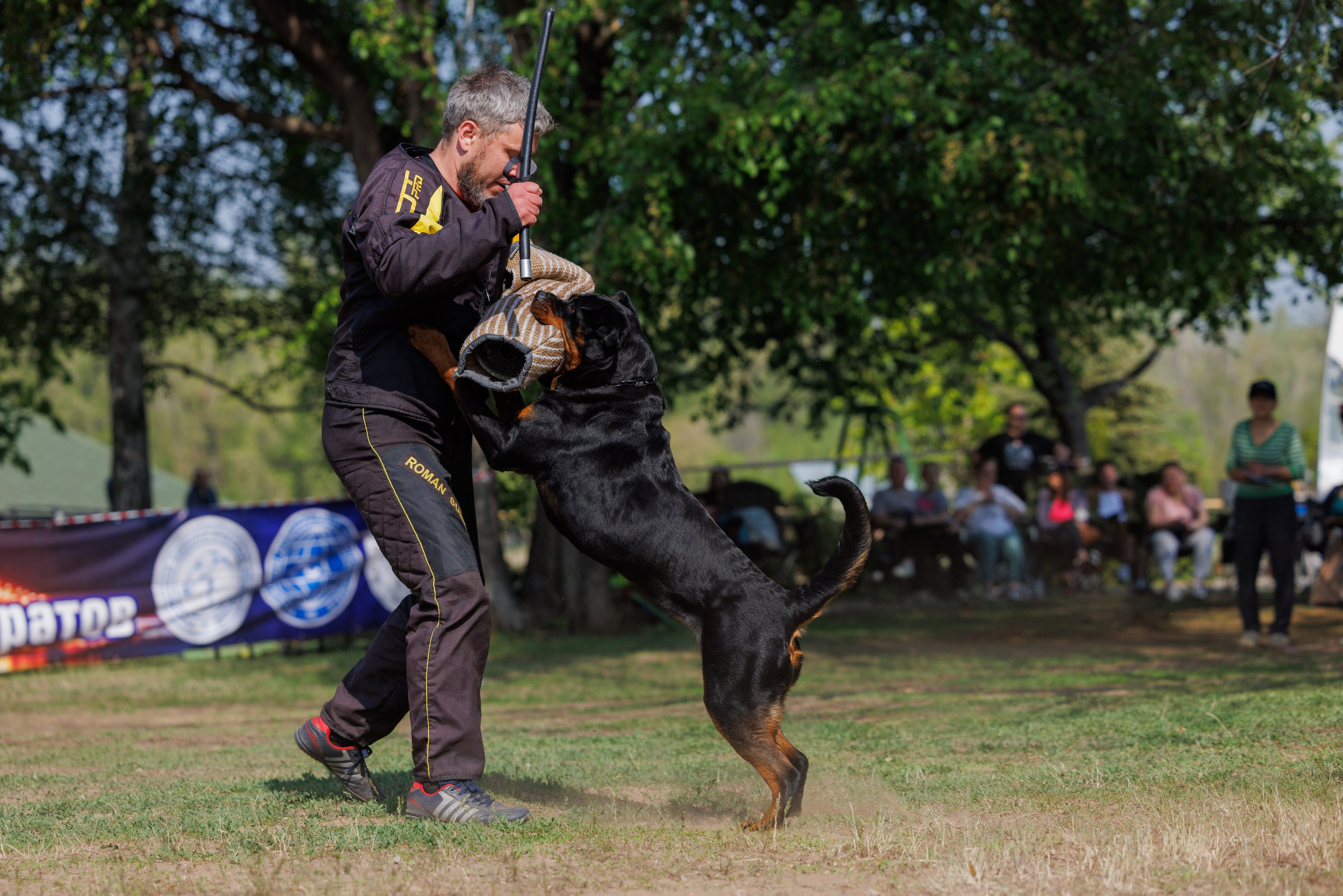 Саратов моно ротвейлеров 26-27.04.2025. Фотограф-анималист Юлия Германика