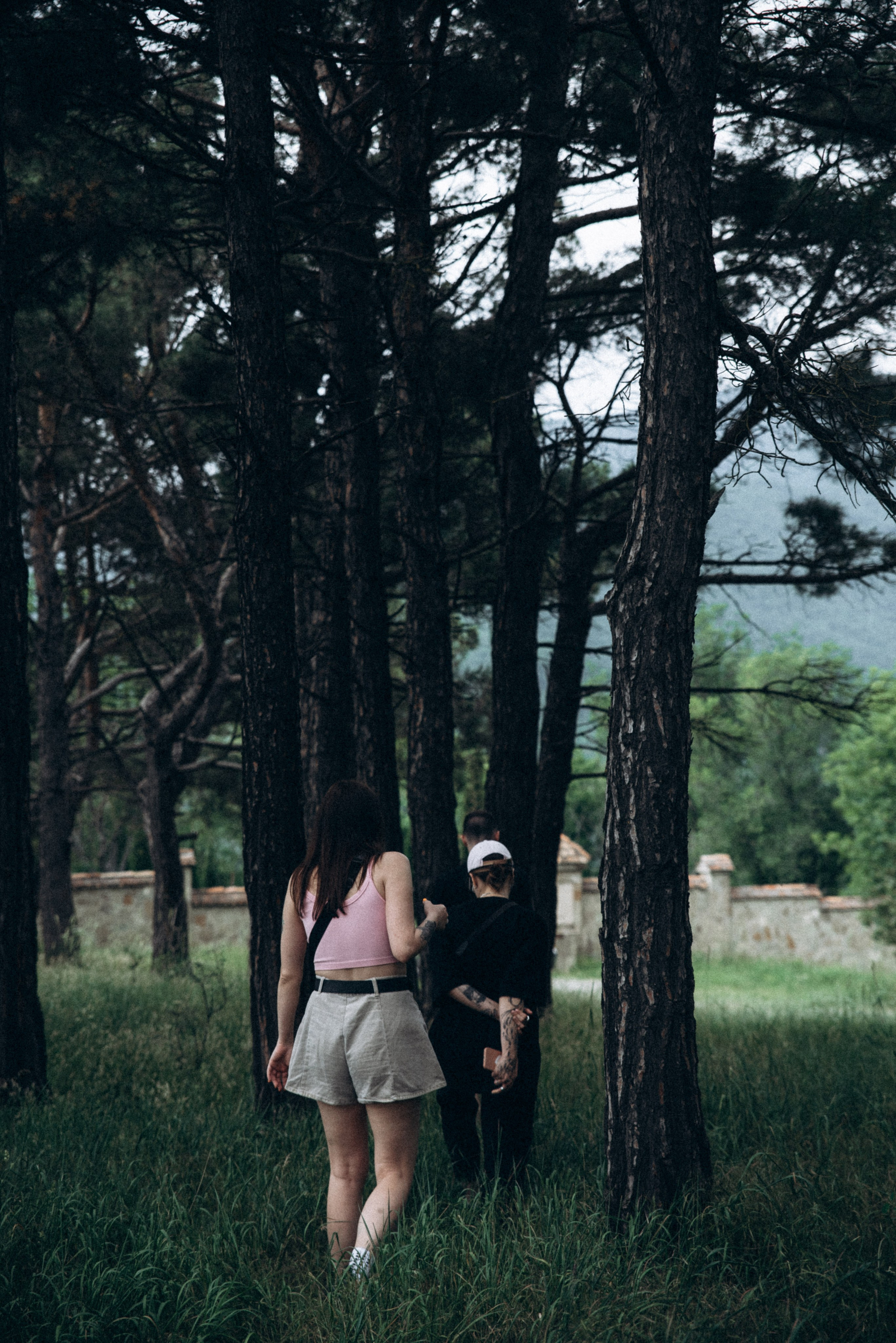 Медвежий приют, Мамкода, Грузия 🇬🇪 «Honey Trip». Anita_photo