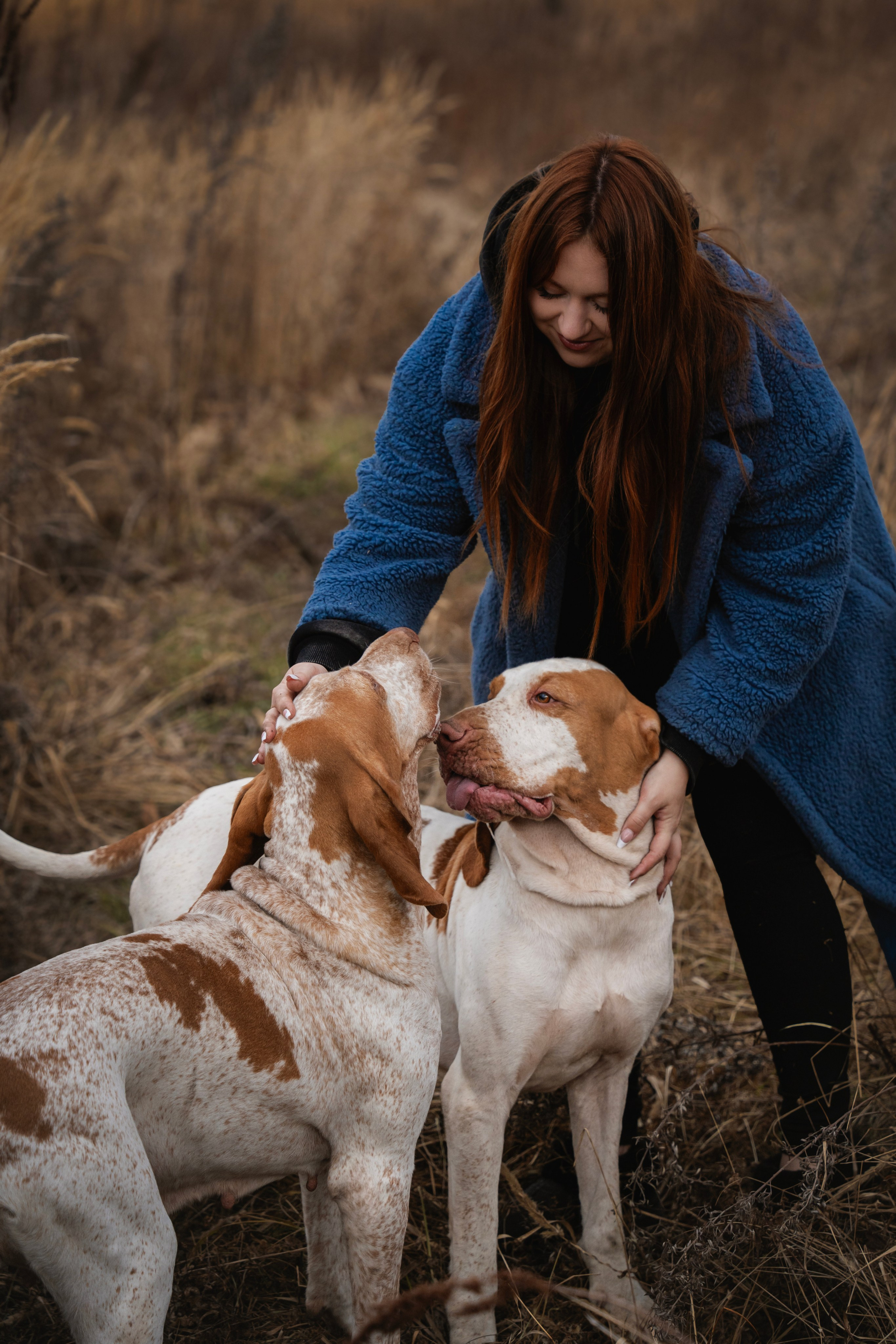 Итальянский бракк Стеша и Любомир. Семейный фотограф анималист г. Находка