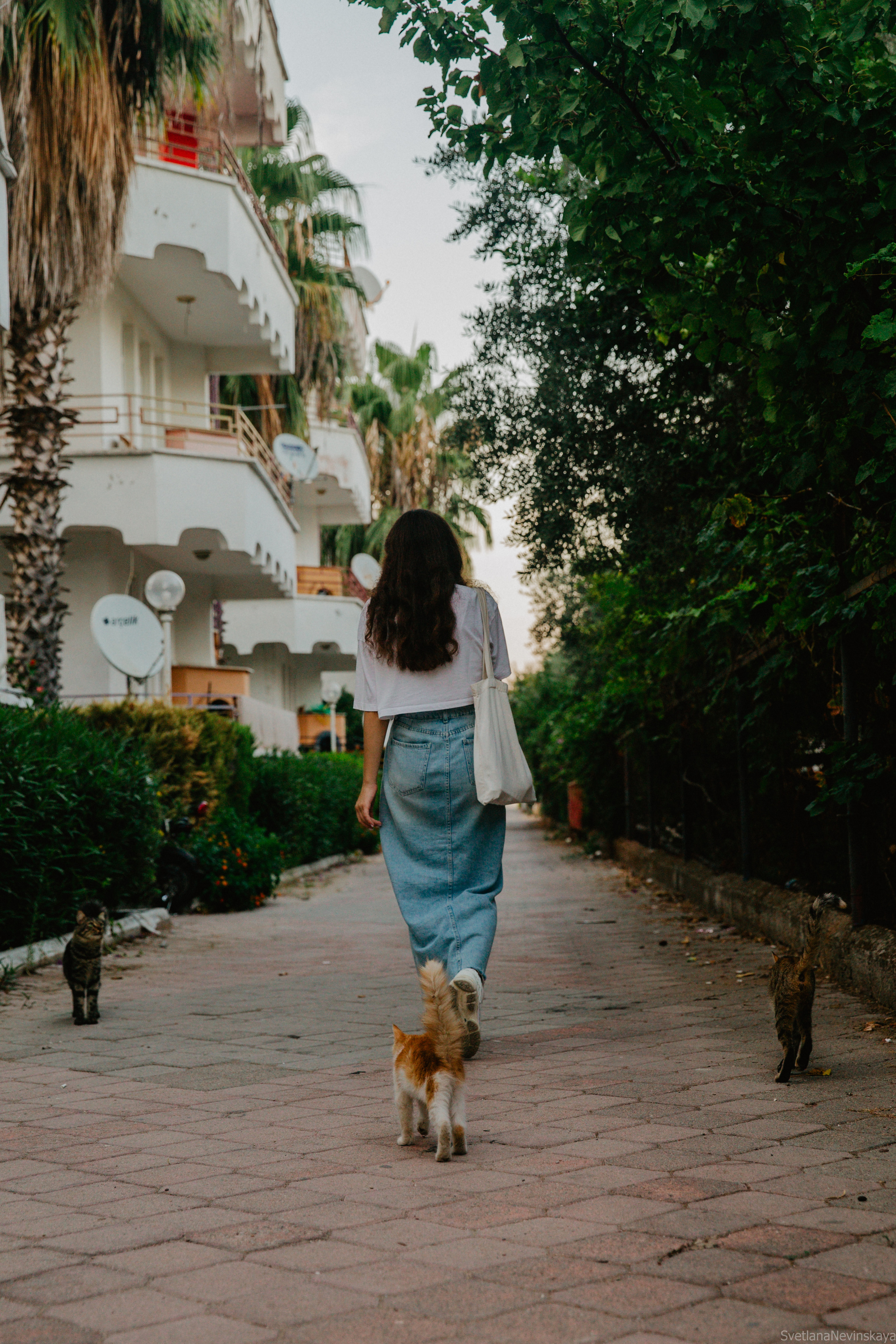 Светлана. Свадебный фотограф Светлана Невинская