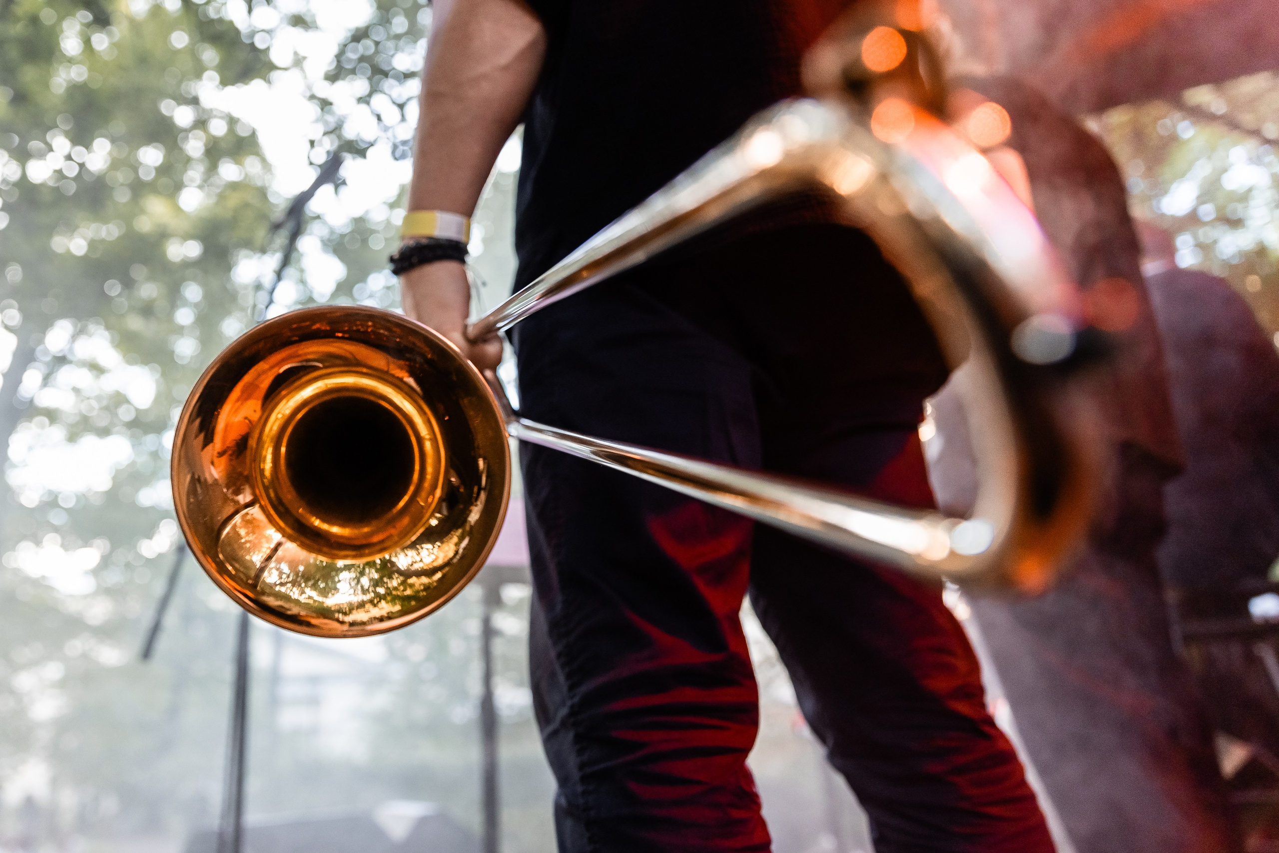 Бродский DRIVE 2024