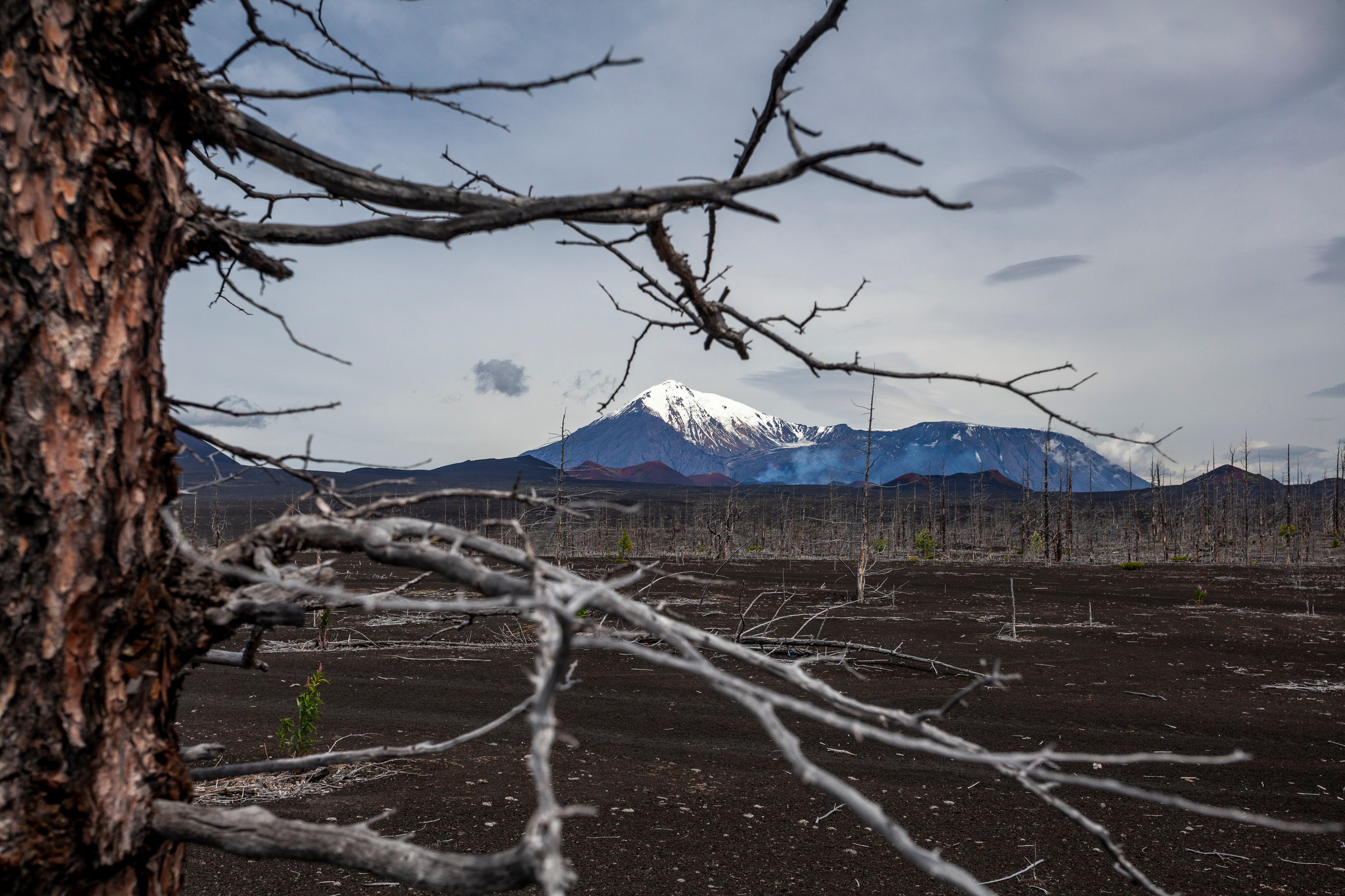 Фототур на Толбачик — марсианские ландшафты Камчатки. Время Камчатки: чтобы найти свой путь, нужно скорость умножить на время