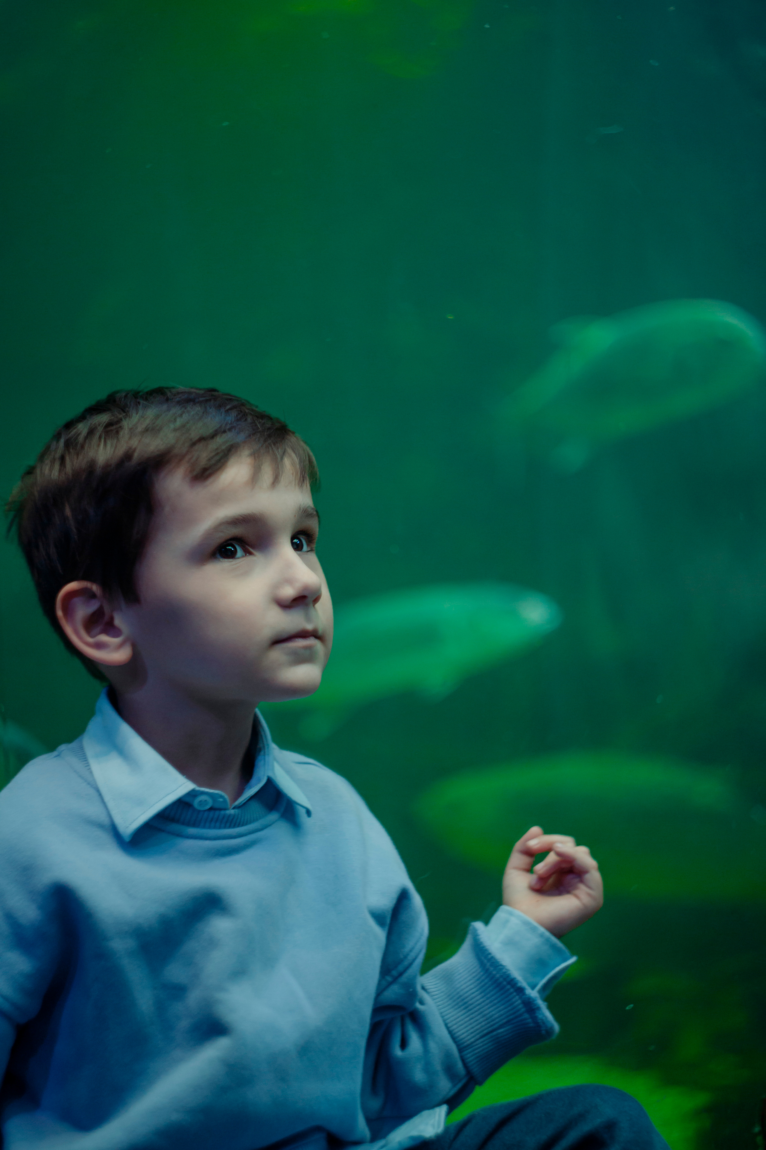 Артём. Пушкарь Валерия Фотограф Москва/Зеленоград