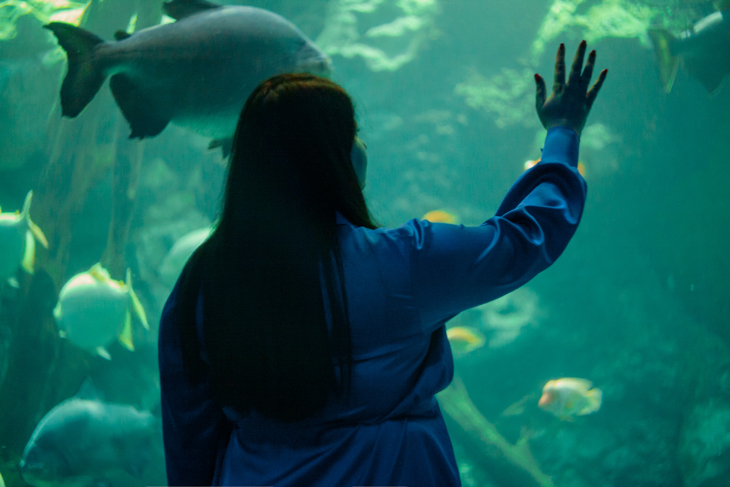 Пушкарь Валерия Фотограф Москва/Зеленоград