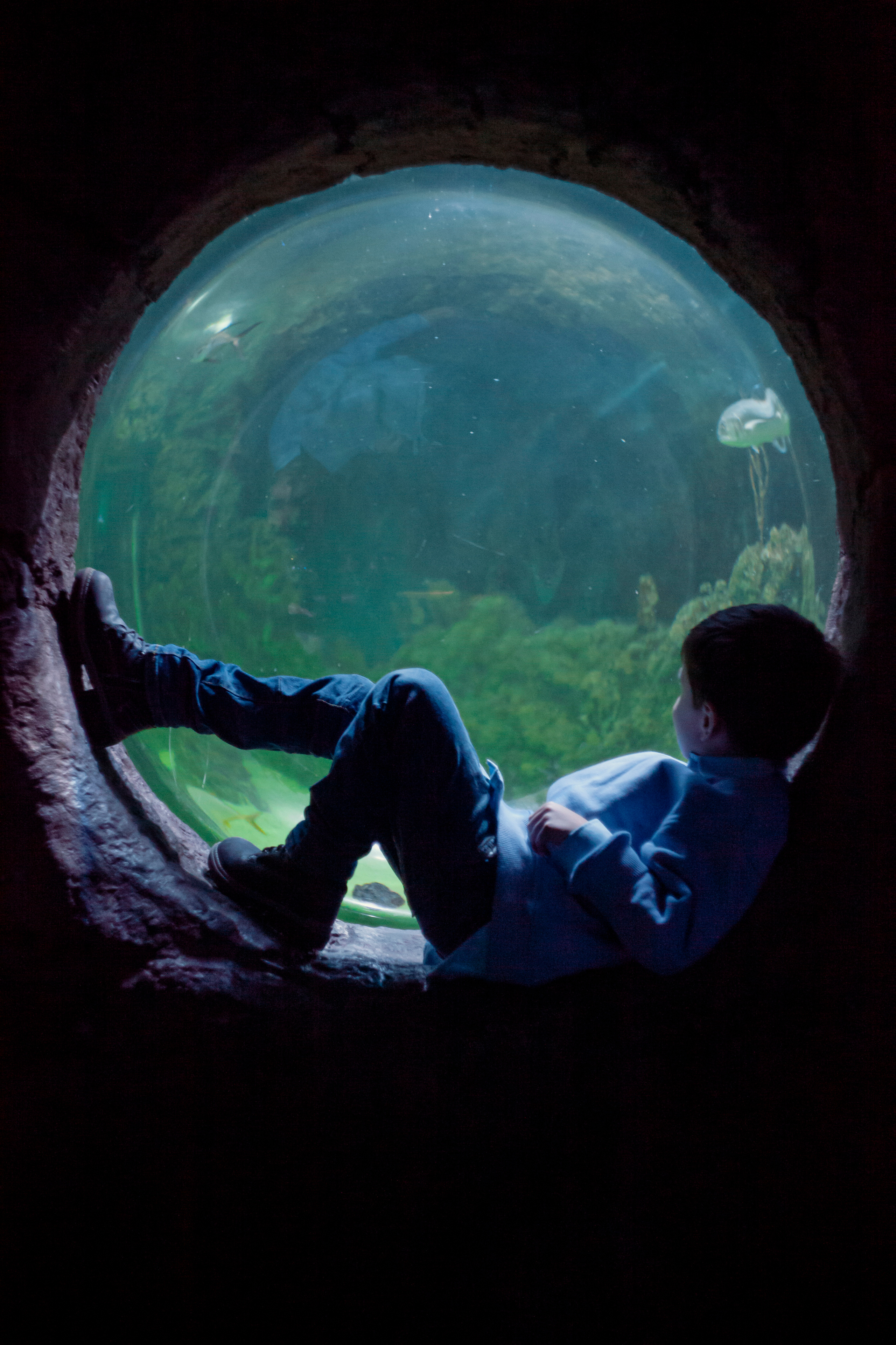 Артём. Пушкарь Валерия Фотограф Москва/Зеленоград