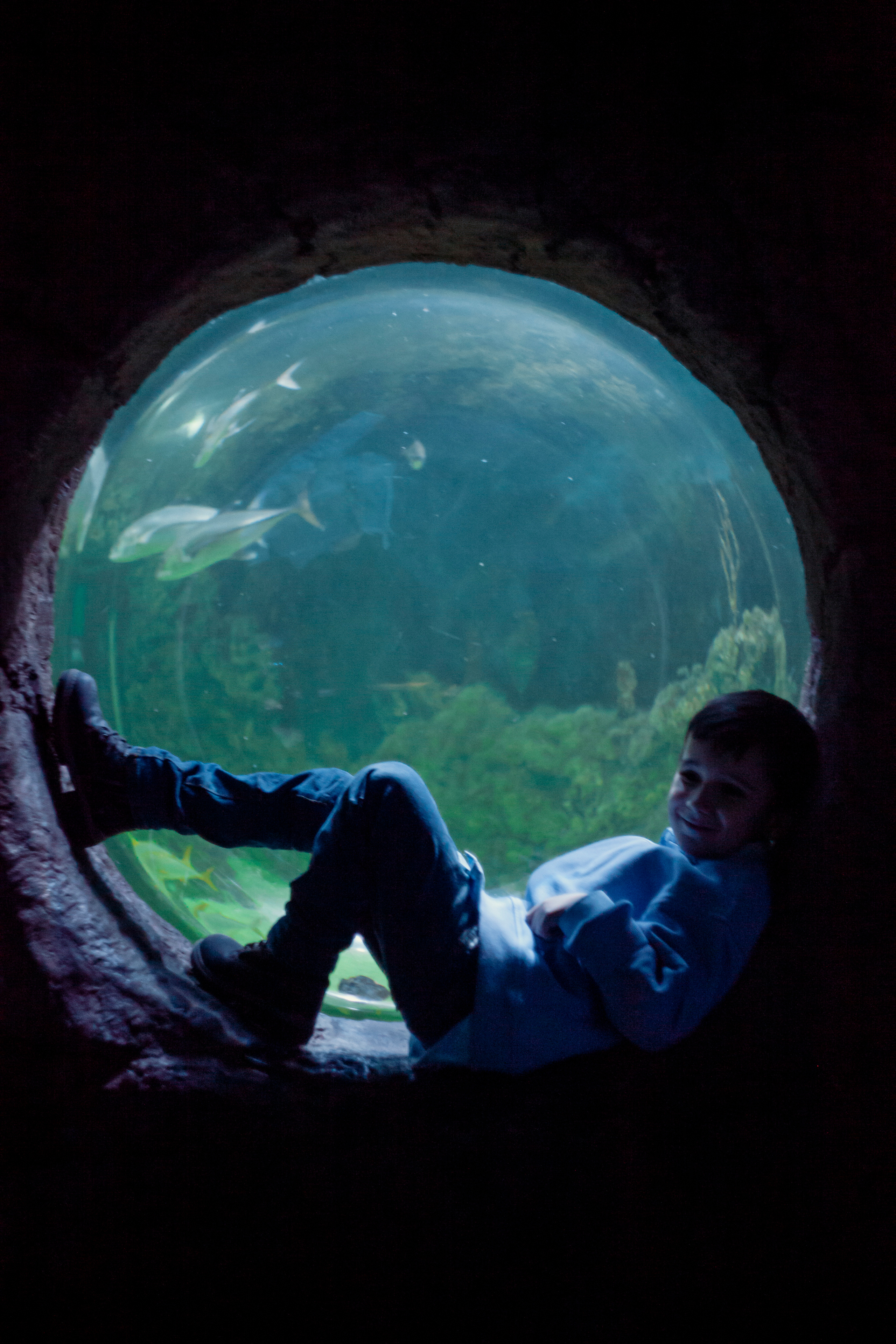 Артём. Пушкарь Валерия Фотограф Москва/Зеленоград