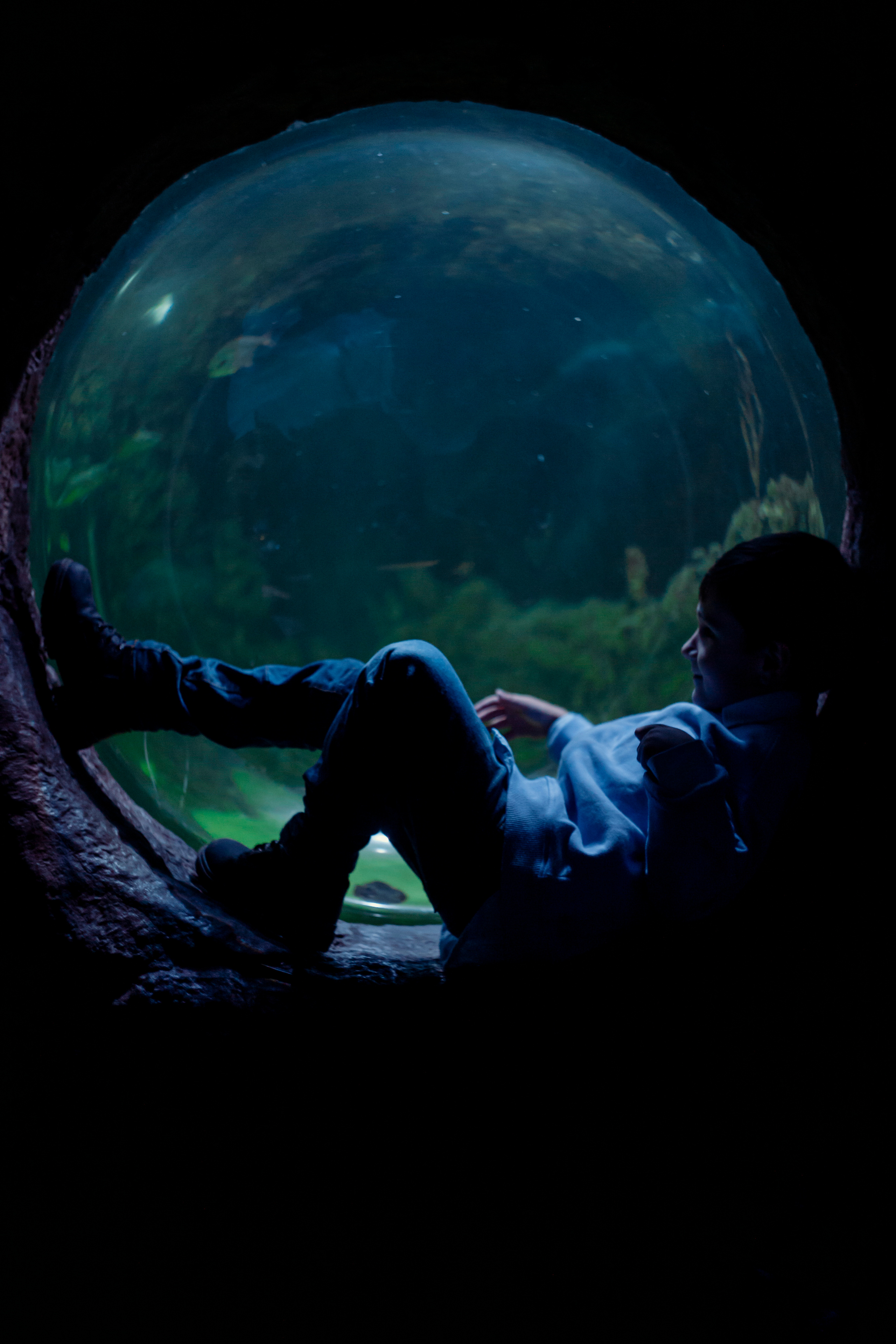 Артём. Пушкарь Валерия Фотограф Москва/Зеленоград