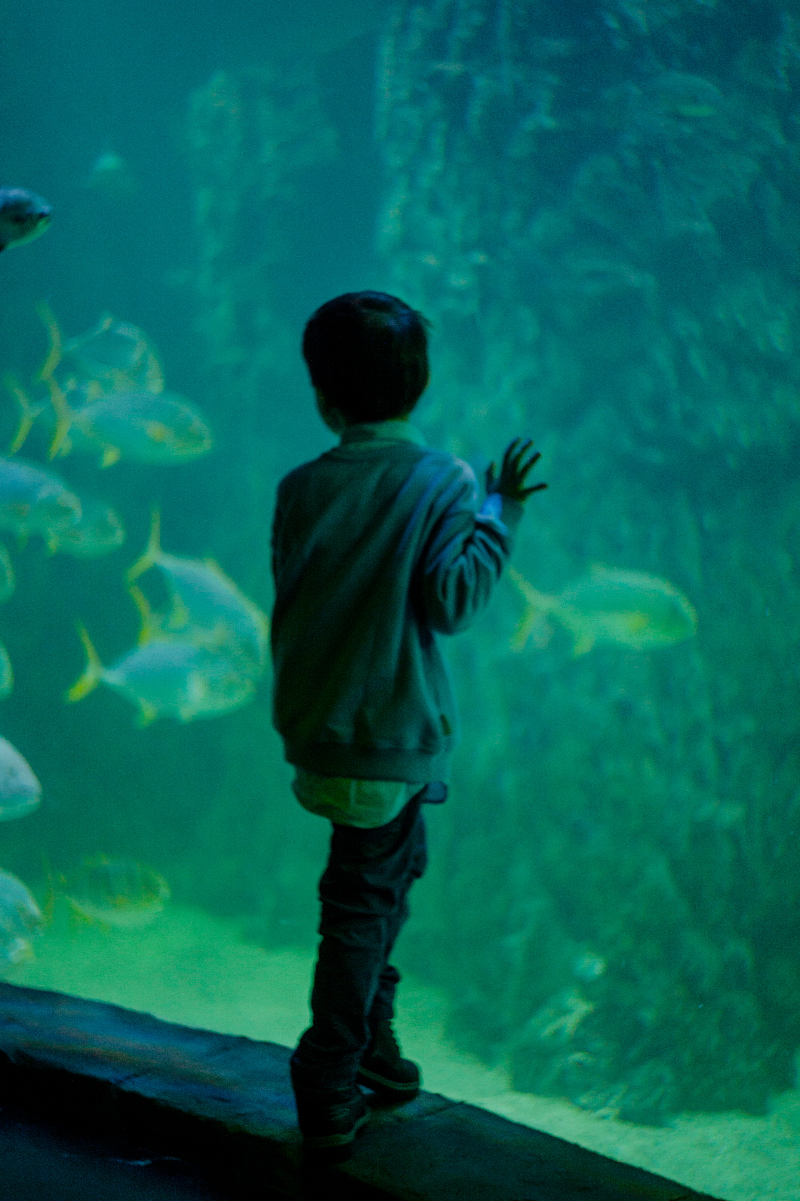 Артём. Пушкарь Валерия Фотограф Москва/Зеленоград