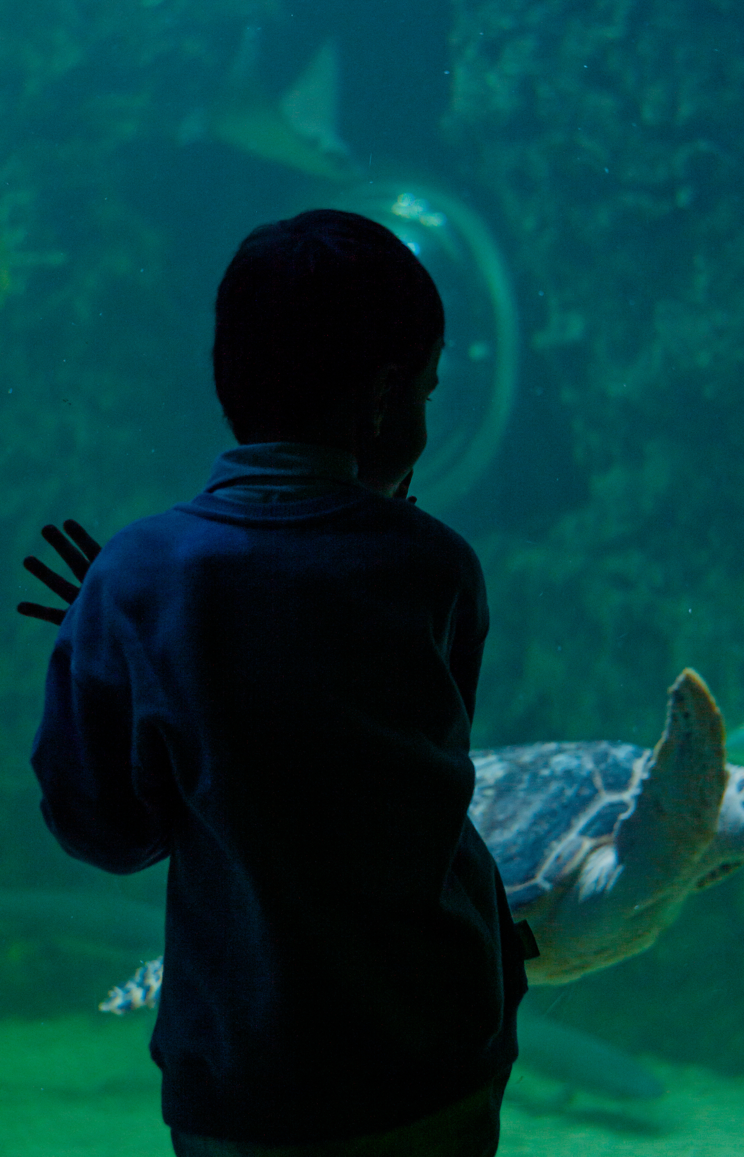 Артём. Пушкарь Валерия Фотограф Москва/Зеленоград