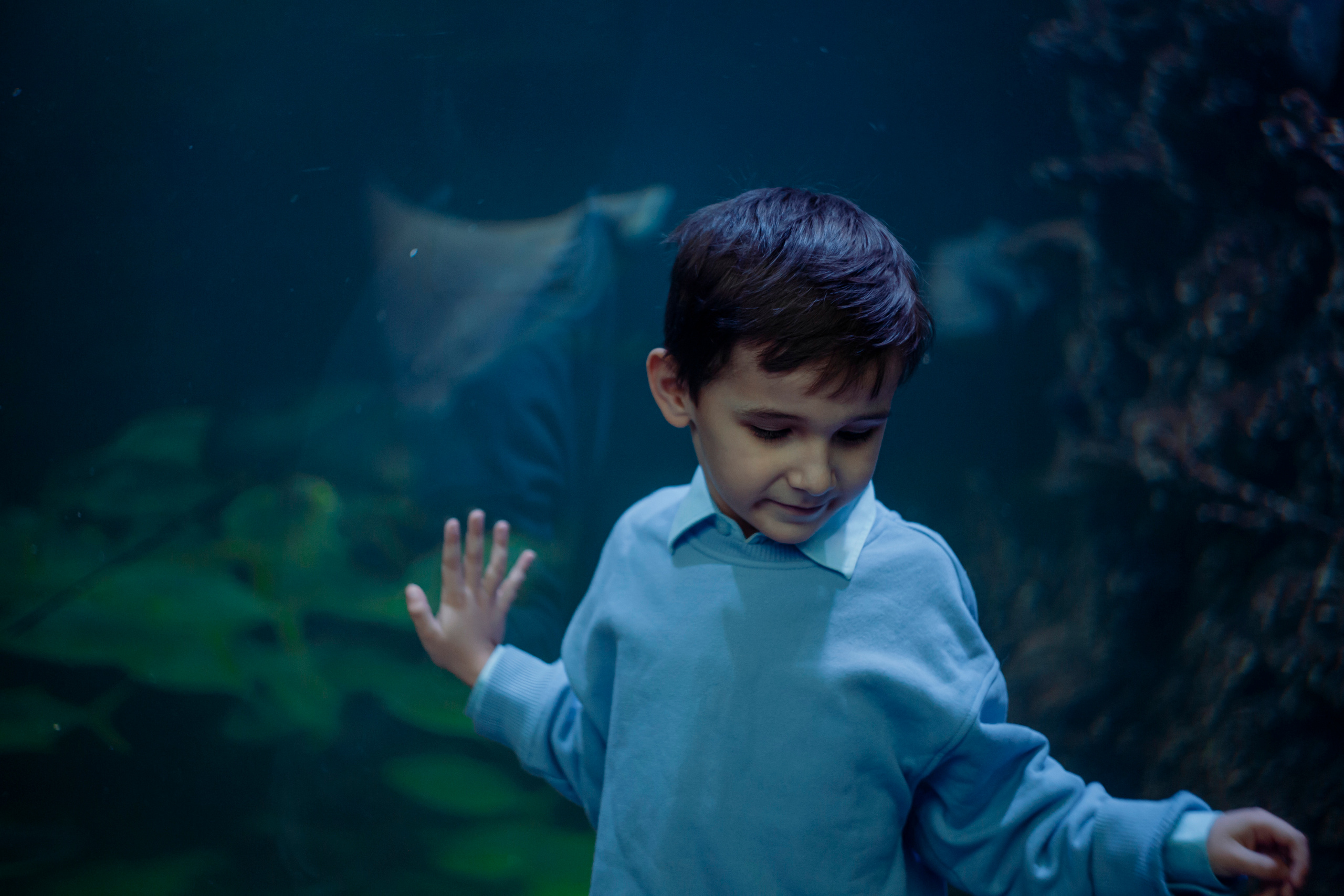 Артём. Пушкарь Валерия Фотограф Москва/Зеленоград