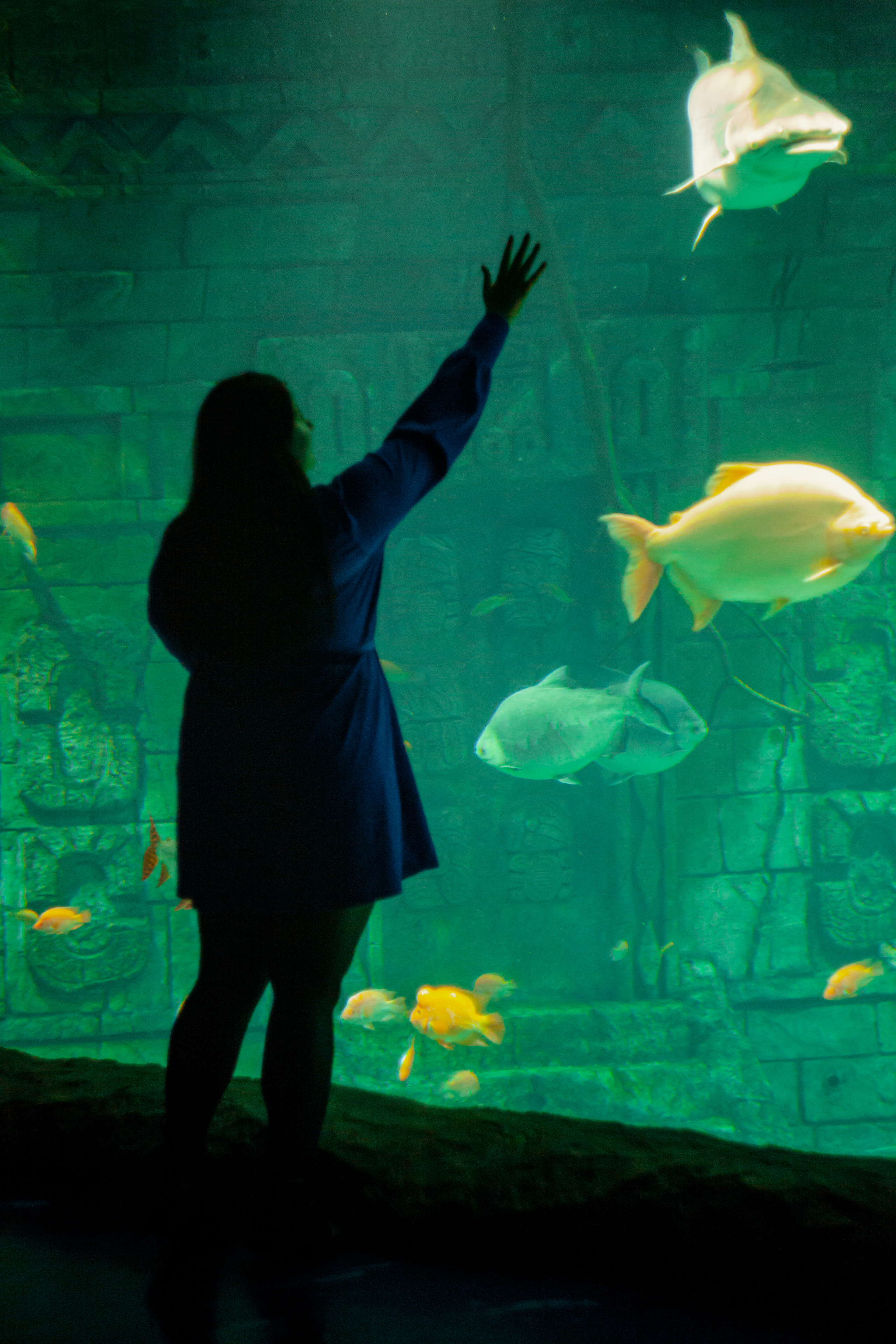 Пушкарь Валерия Фотограф Москва/Зеленоград