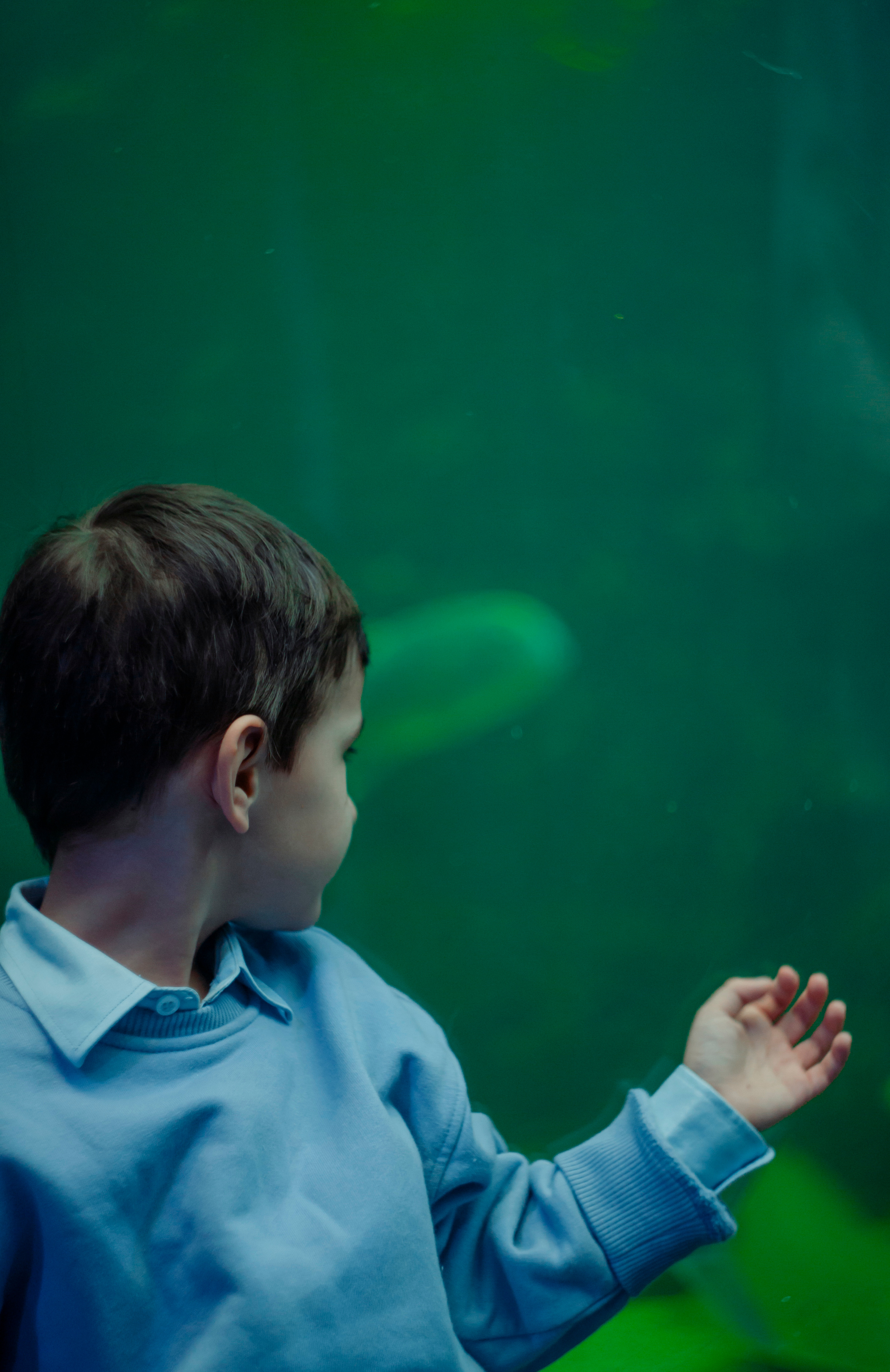 Артём. Пушкарь Валерия Фотограф Москва/Зеленоград