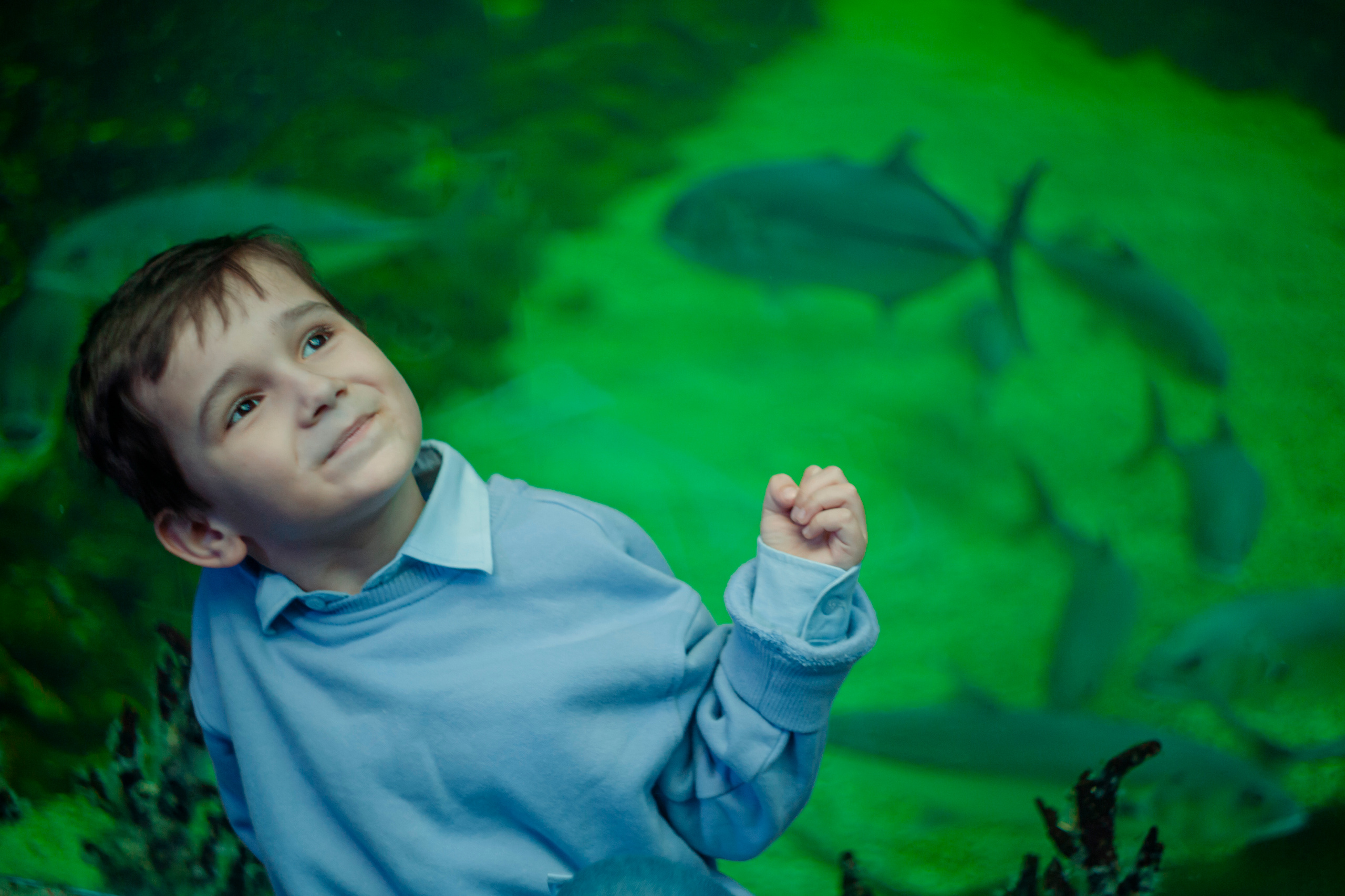 Пушкарь Валерия Фотограф Москва/Зеленоград