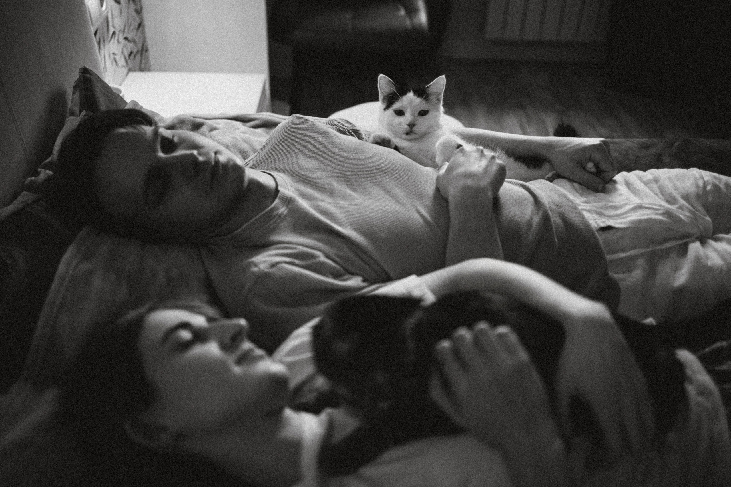 Рыся, Кепа и их семья