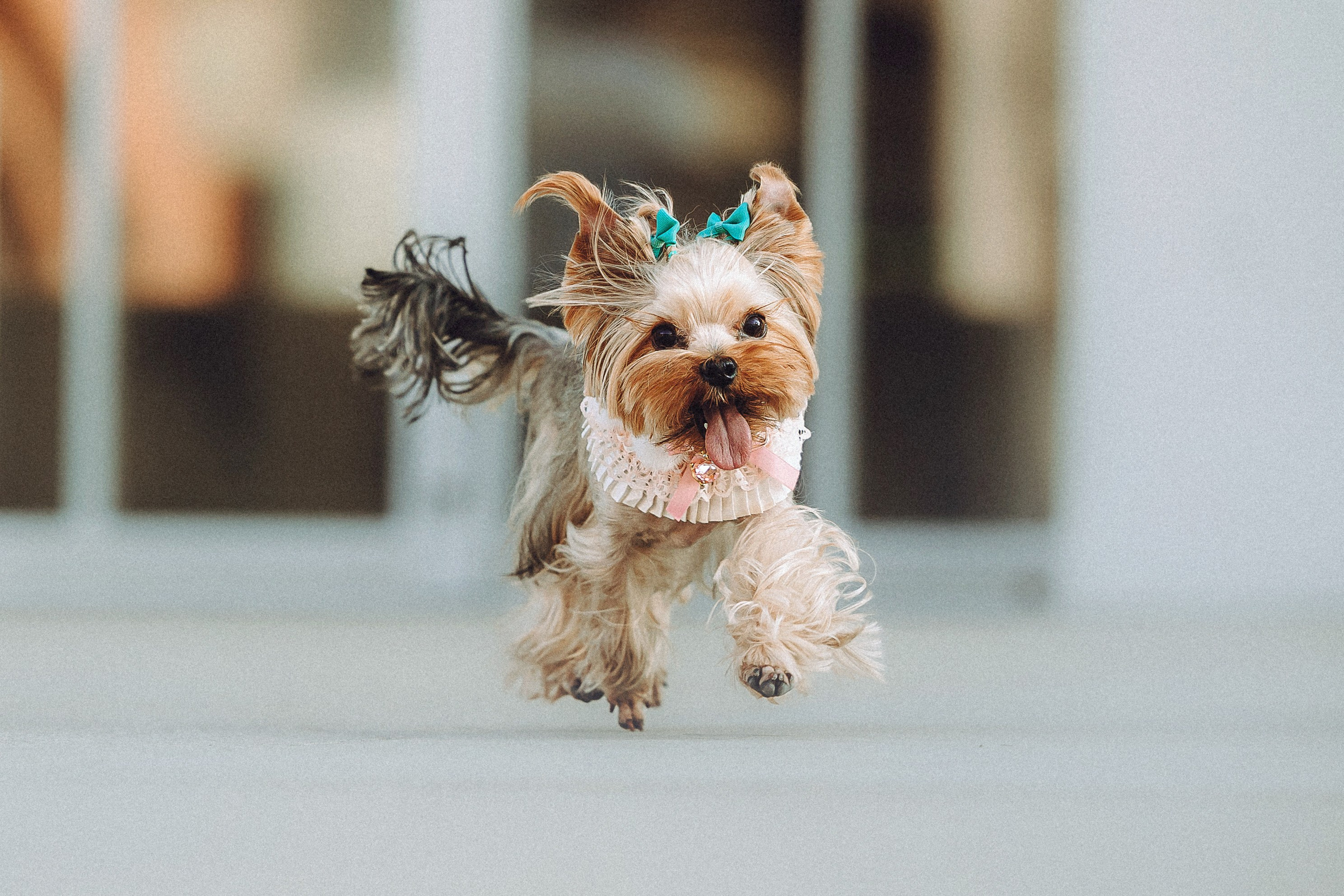 Дженни, Оливия и их семья