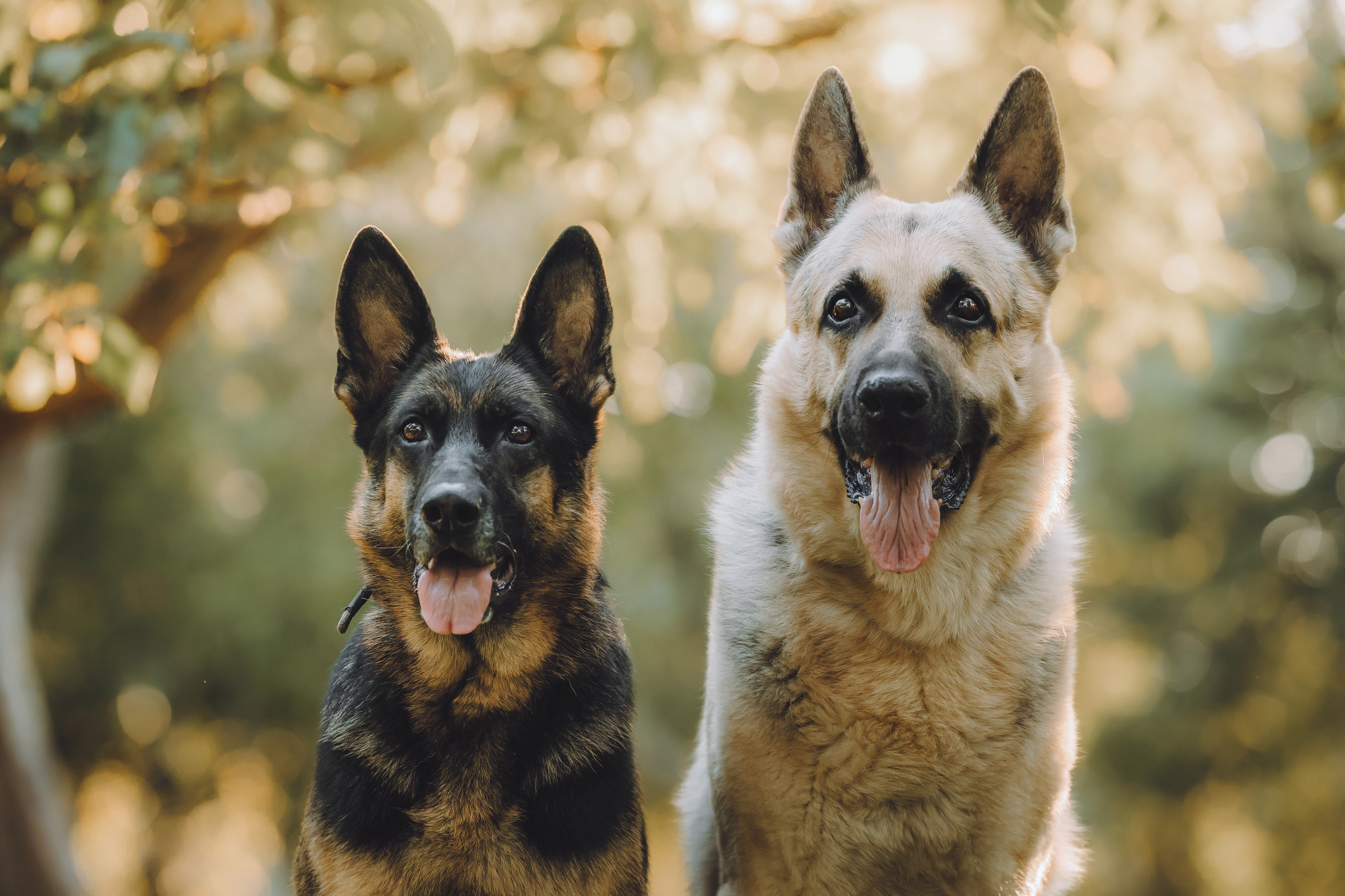 Кристина и все-все