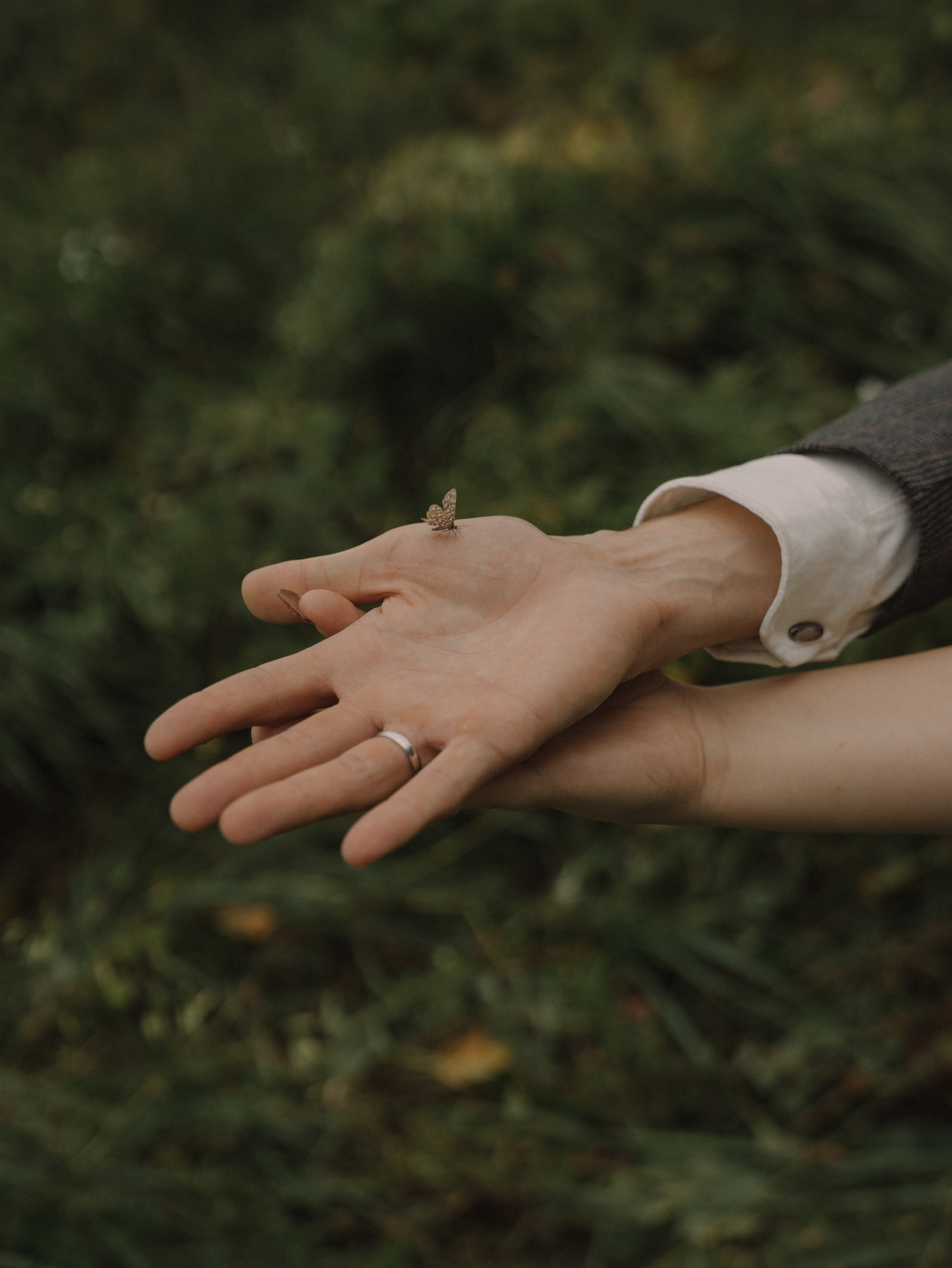 Фотограф, фототур,  фотосессия Домбай