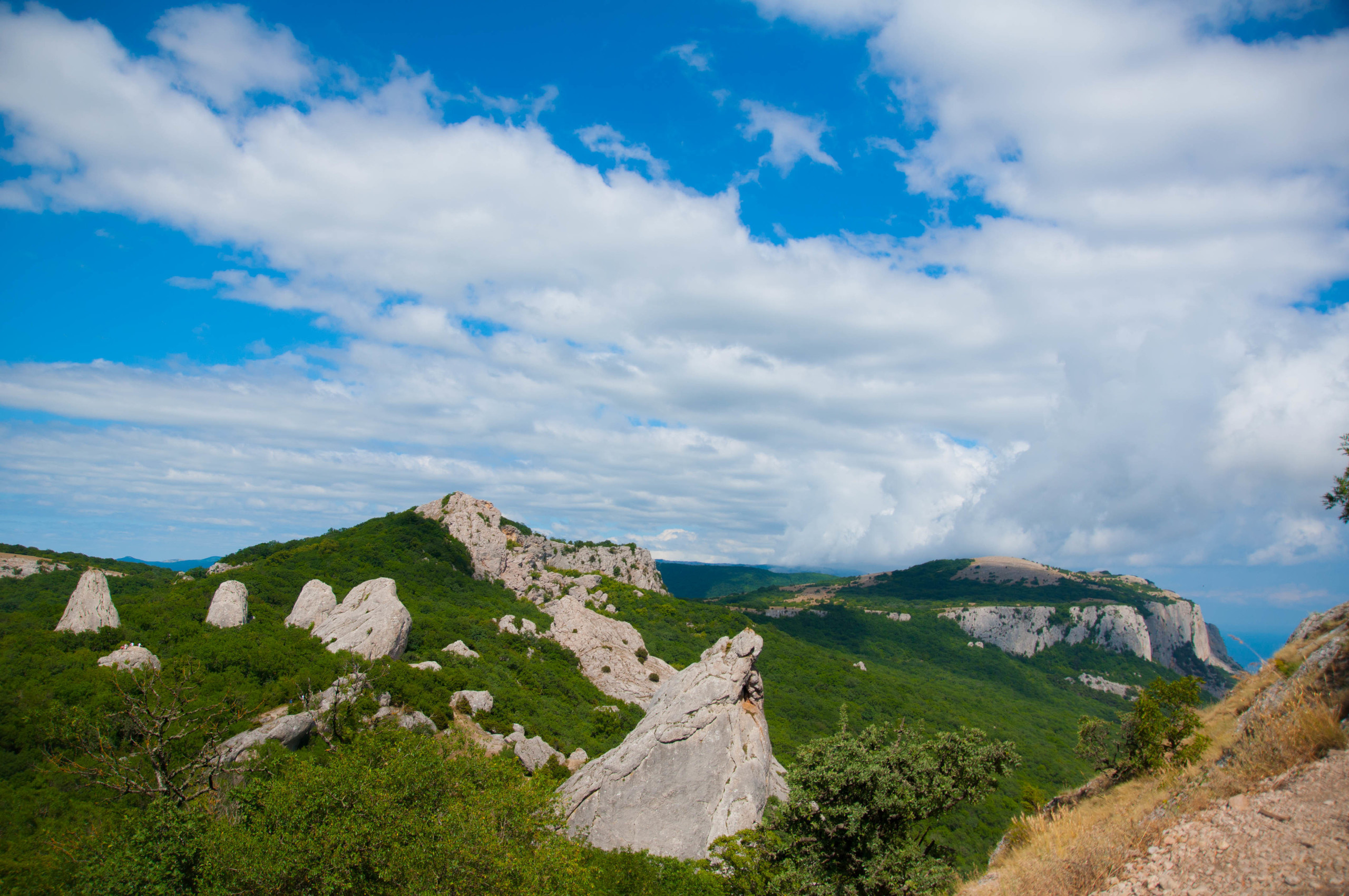 Природа. Фотограф в Санкт-Петербурге