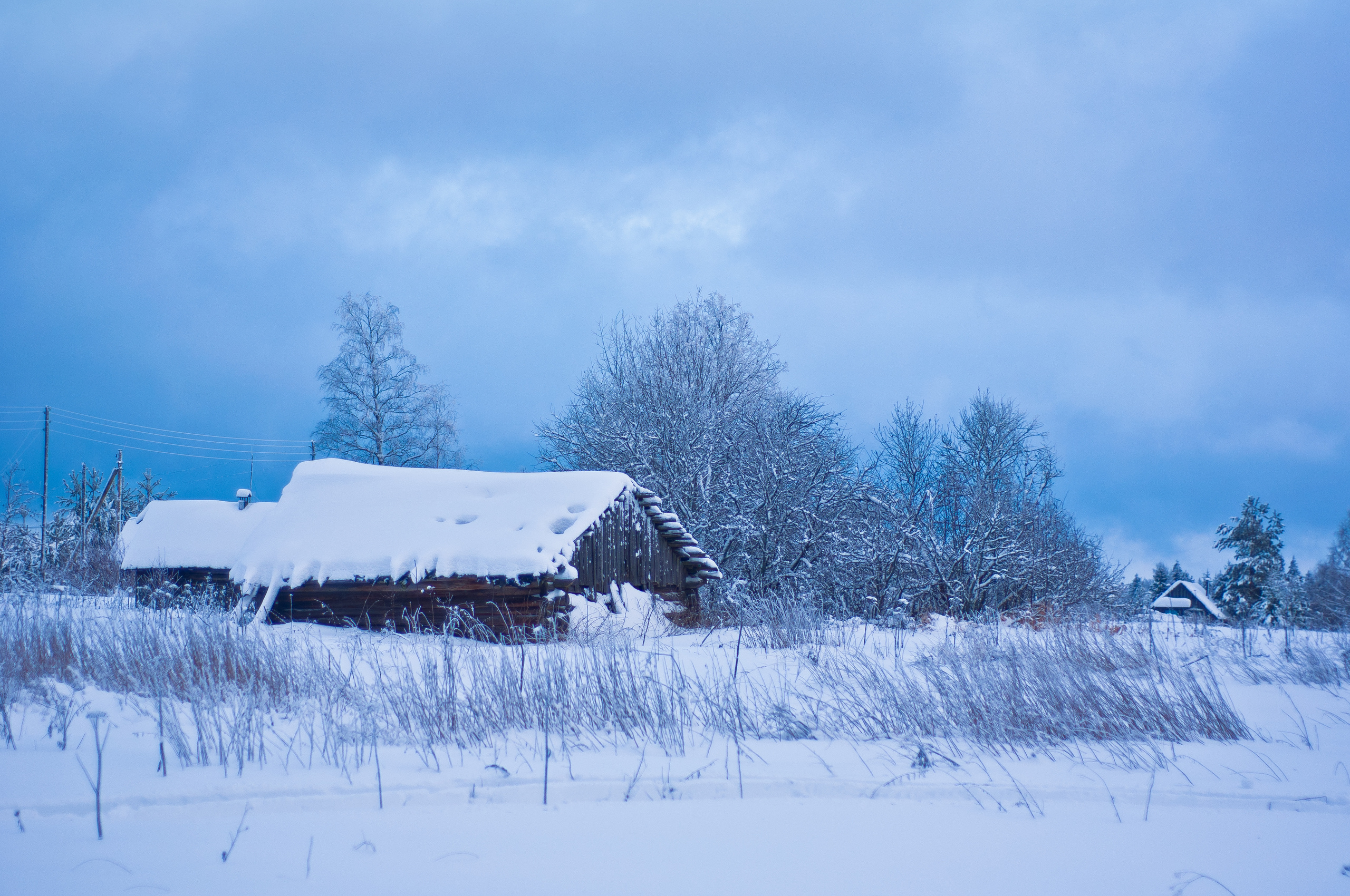 Природа. Фотограф в Санкт-Петербурге