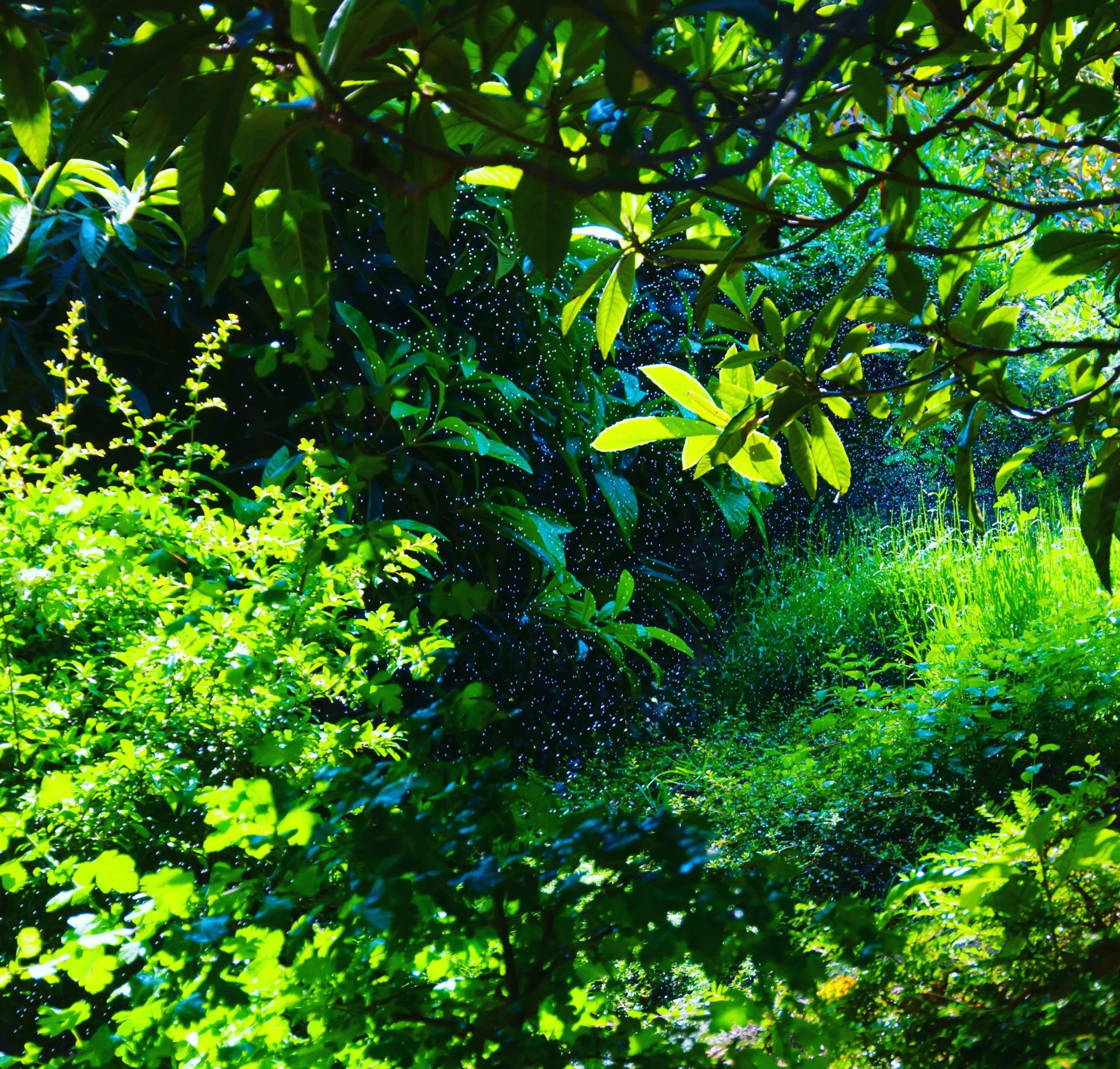 Природа. Фотограф в Санкт-Петербурге