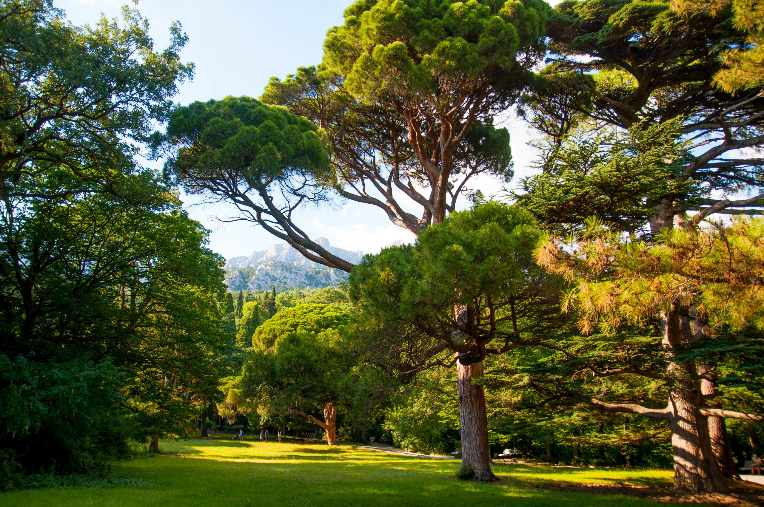 Природа. Фотограф в Санкт-Петербурге