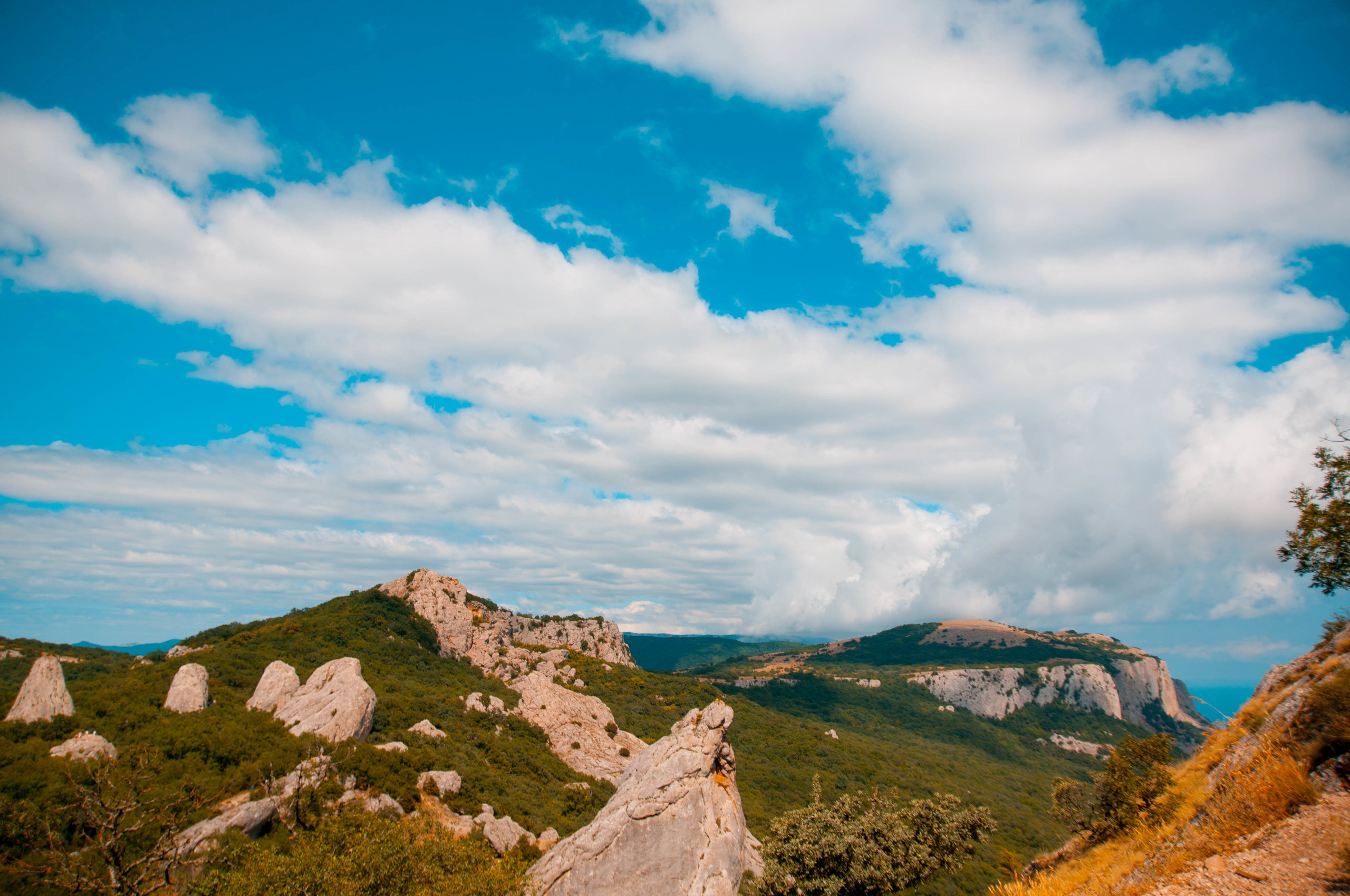 Природа. Фотограф в Санкт-Петербурге