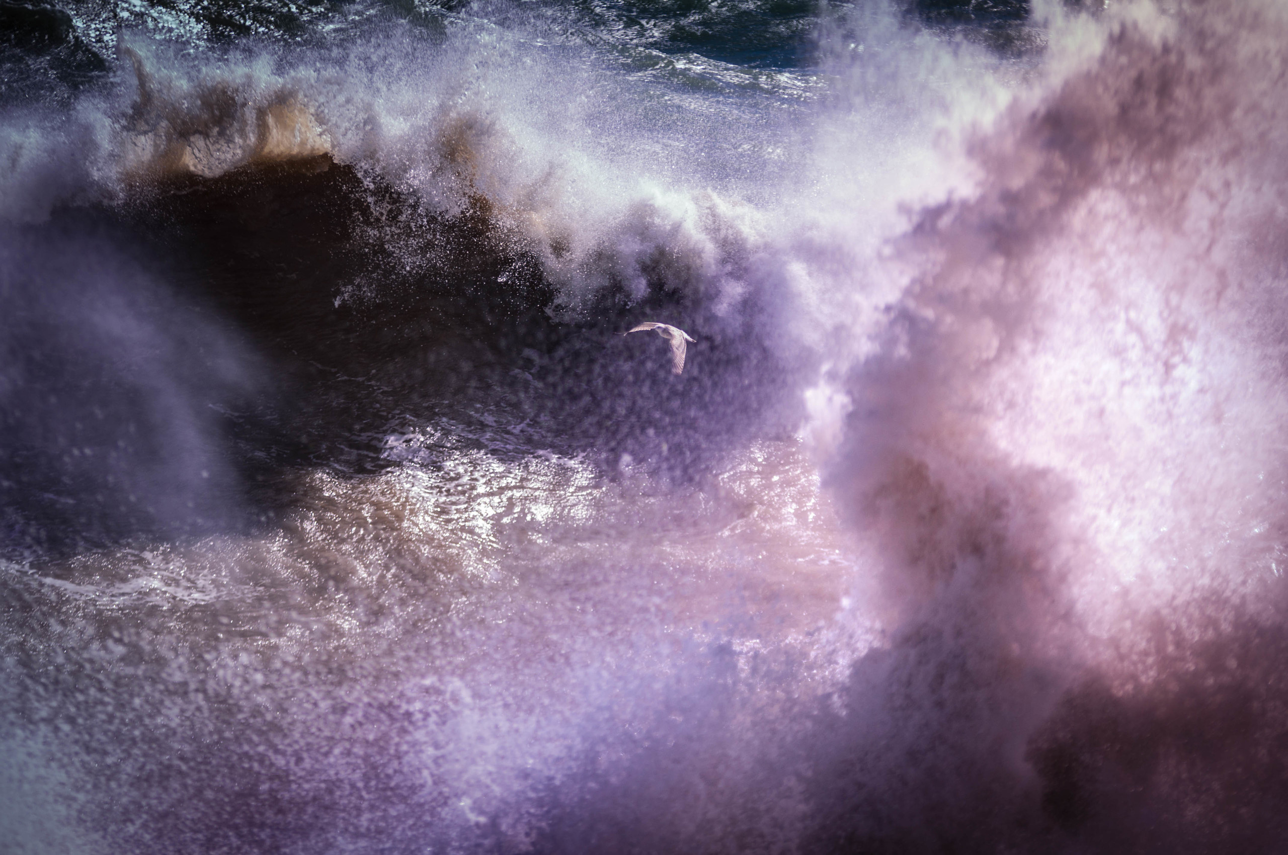 Природа. Фотограф в Санкт-Петербурге