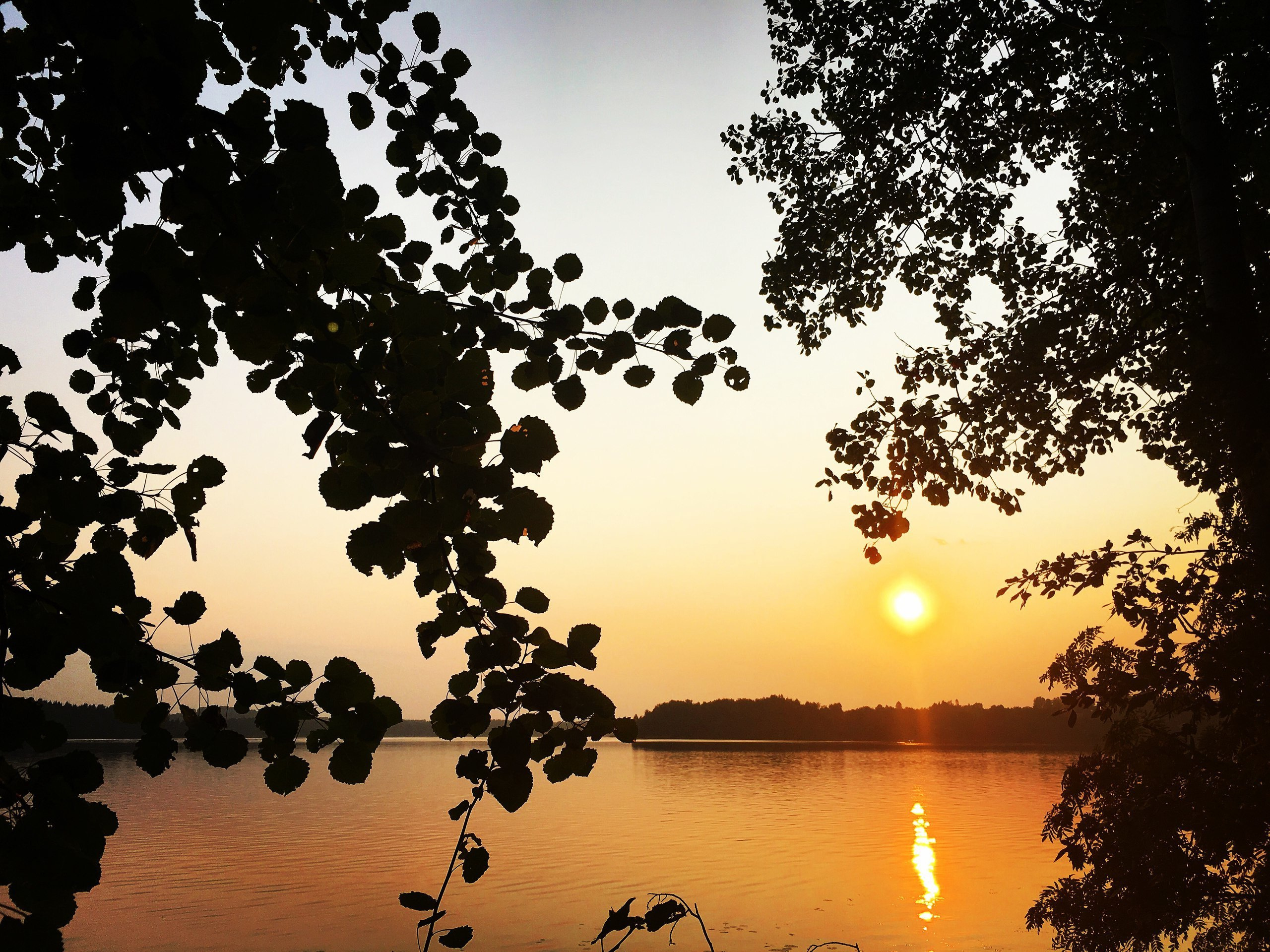 Природа. Фотограф в Санкт-Петербурге