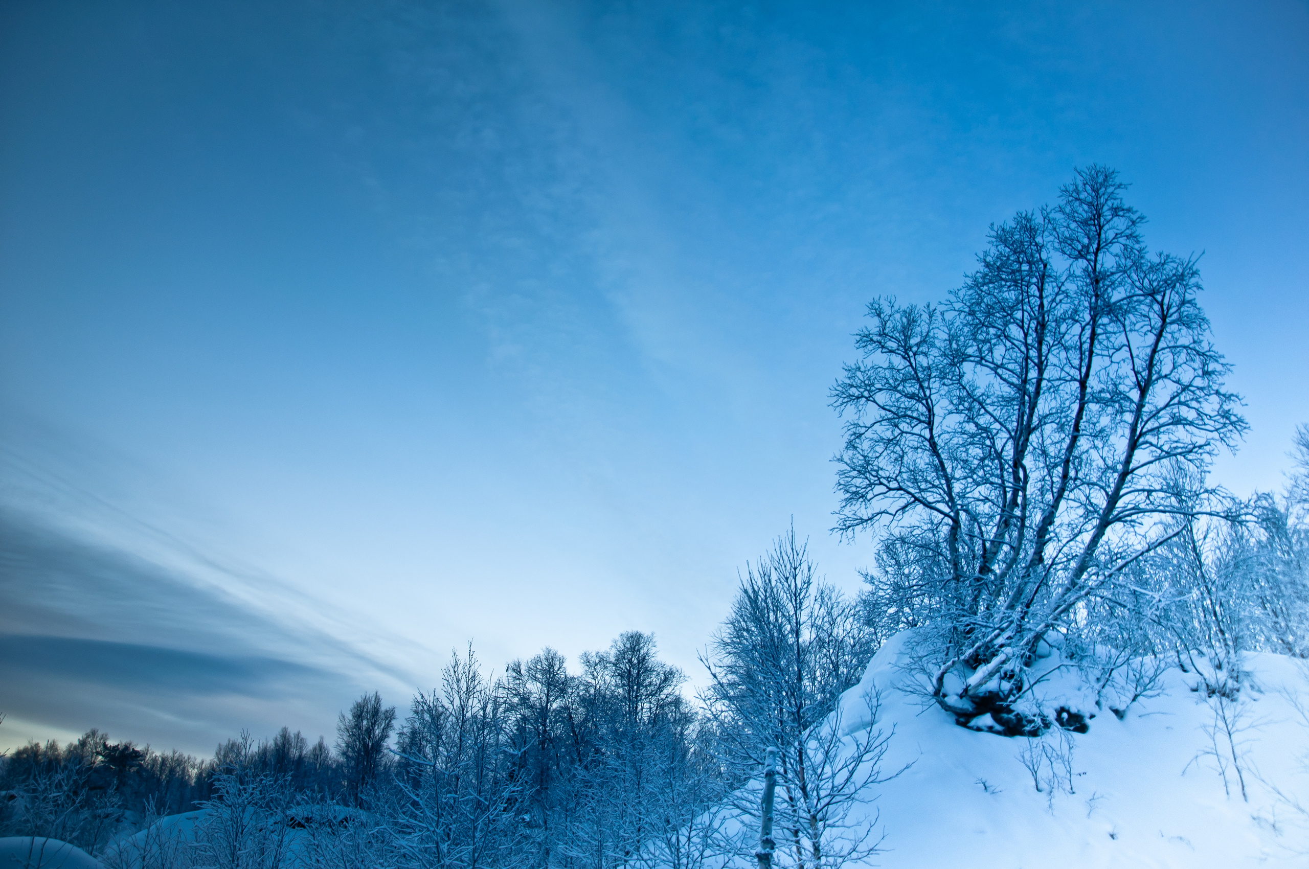 Природа. Фотограф в Санкт-Петербурге