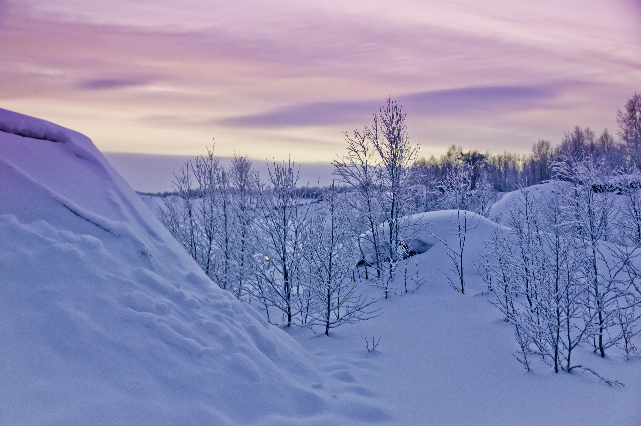 Природа. Фотограф в Санкт-Петербурге