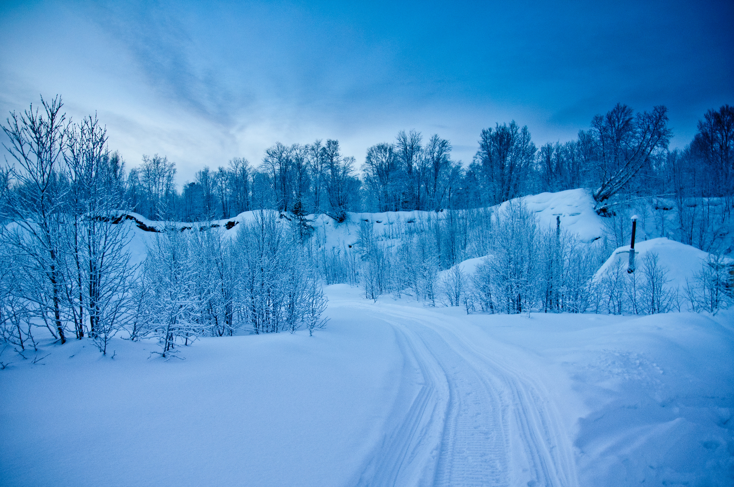 Природа. Фотограф в Санкт-Петербурге