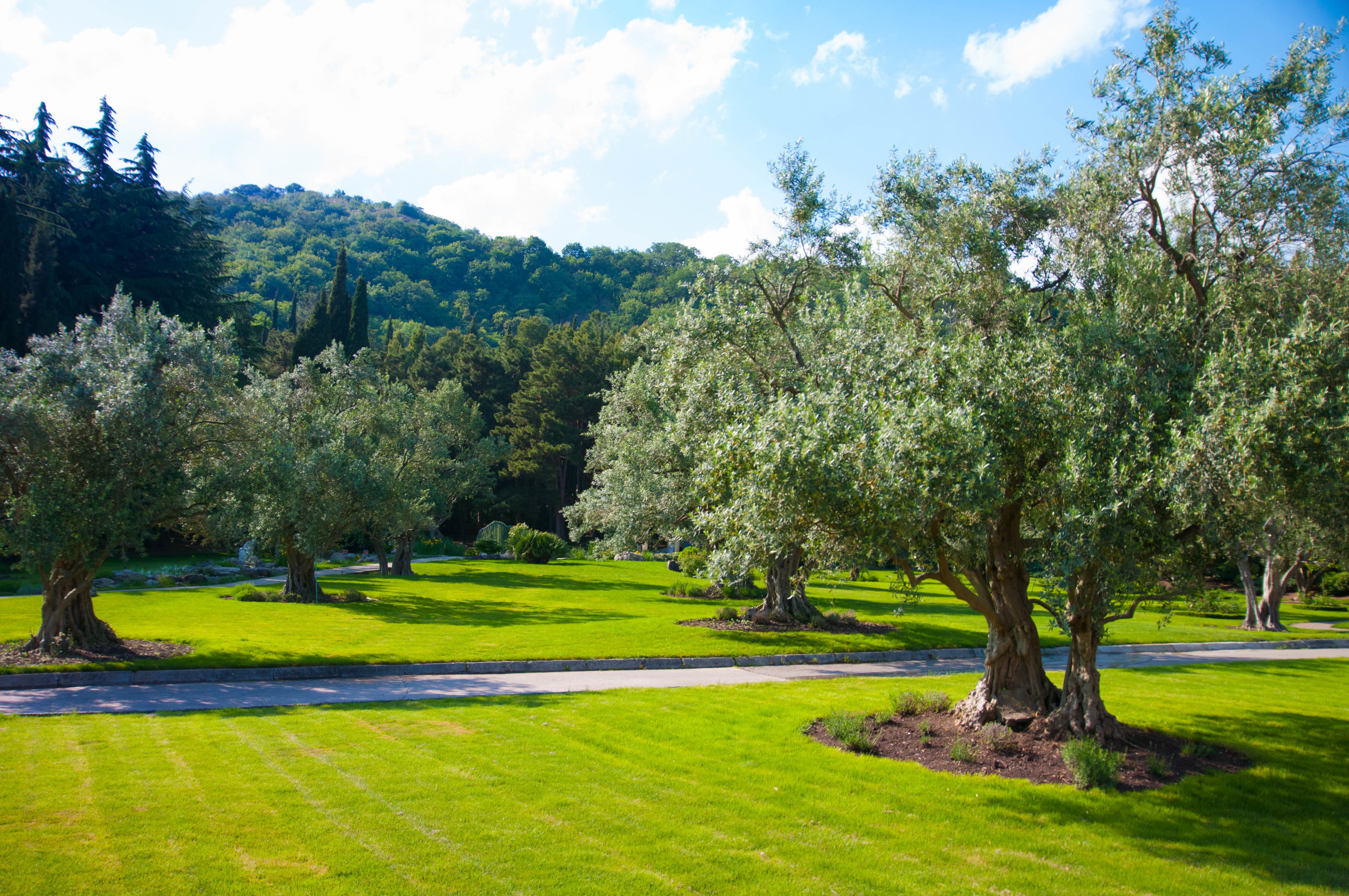 Природа. Фотограф в Санкт-Петербурге