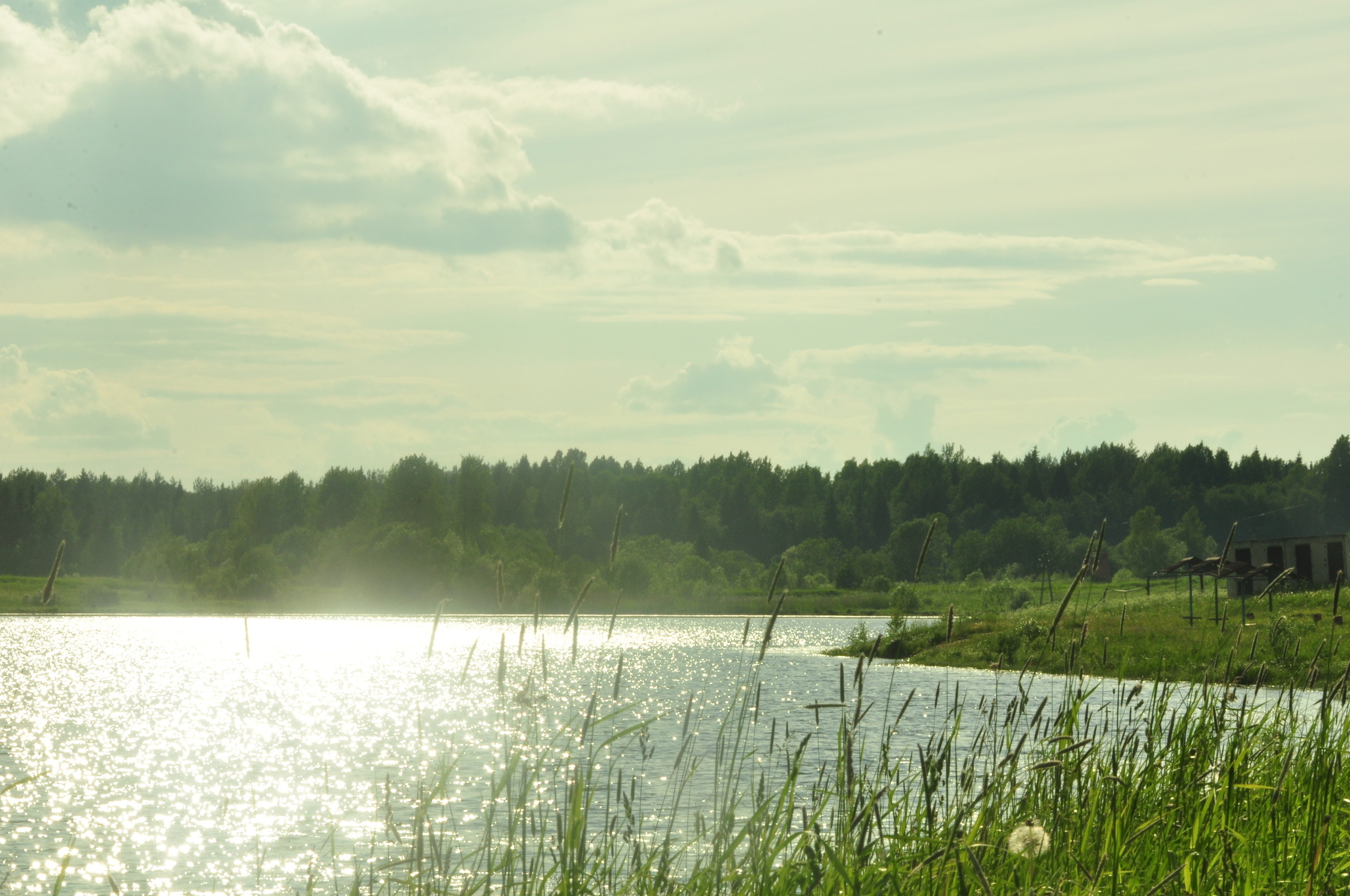 Природа. Фотограф в Санкт-Петербурге