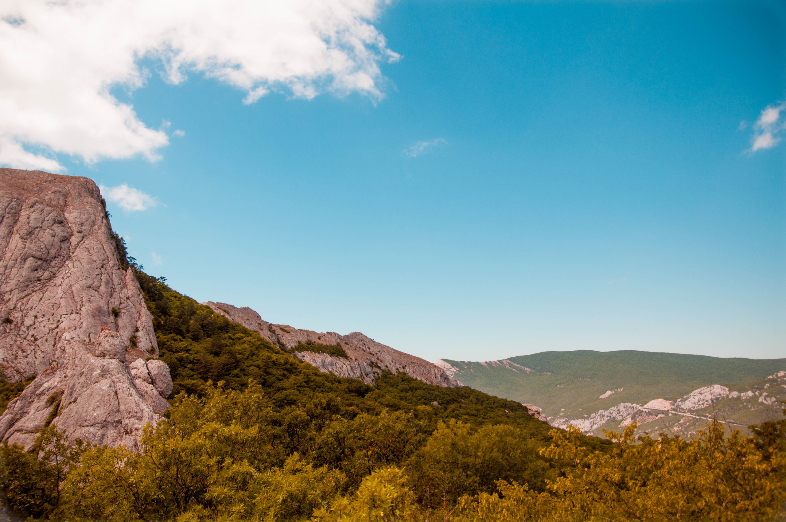 Природа. Фотограф в Санкт-Петербурге