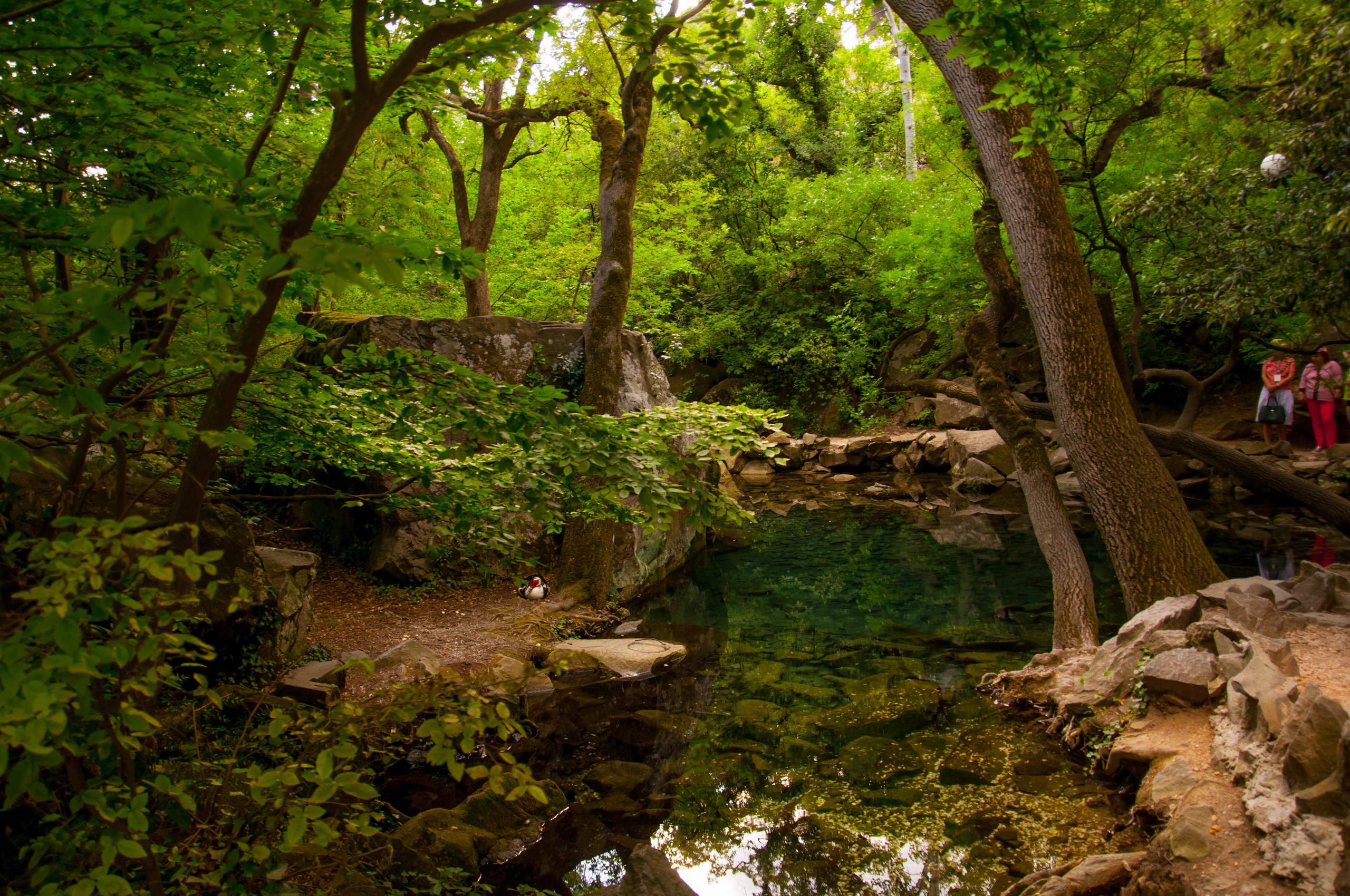 Природа. Фотограф в Санкт-Петербурге