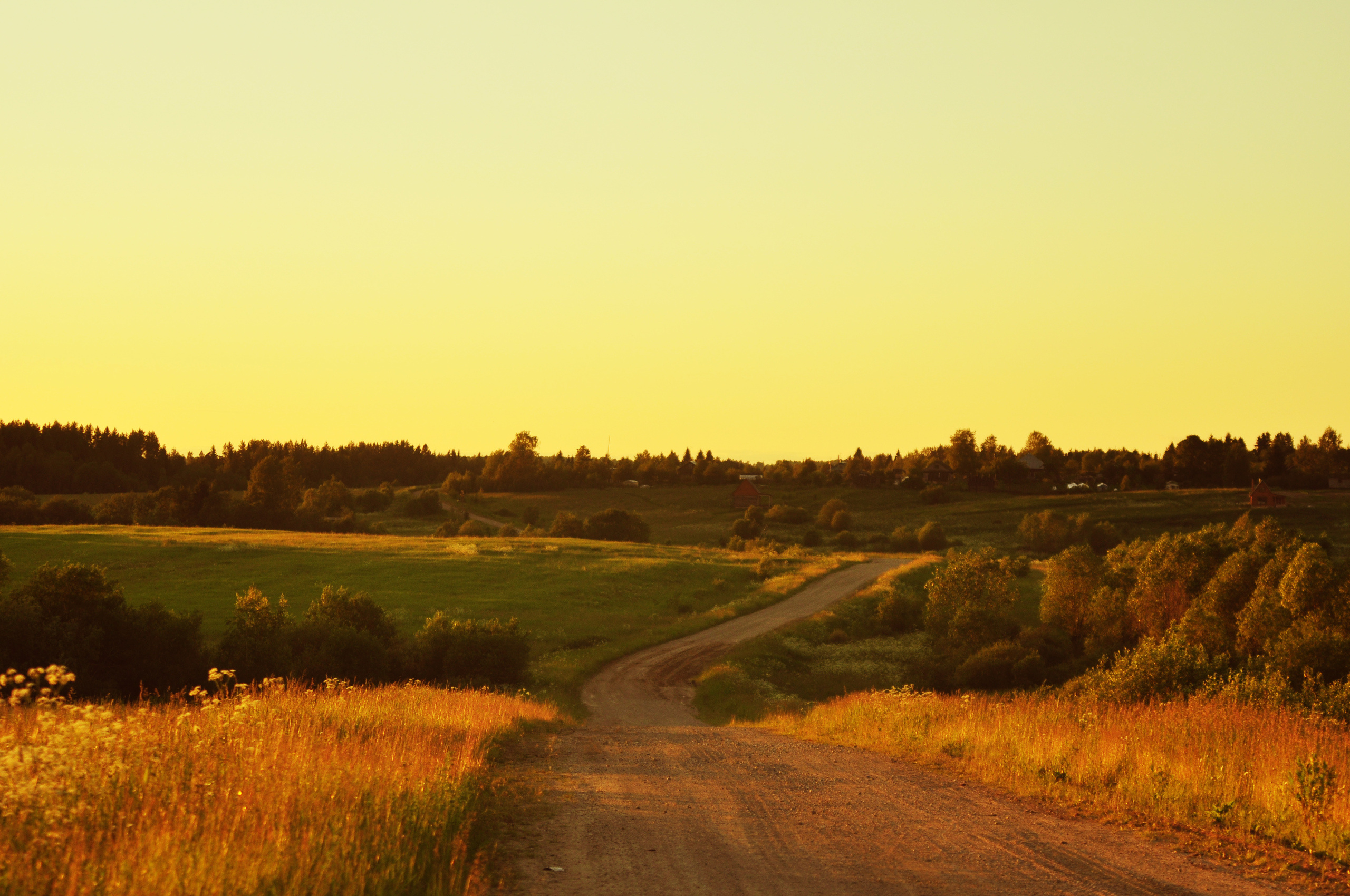 Природа. Фотограф в Санкт-Петербурге
