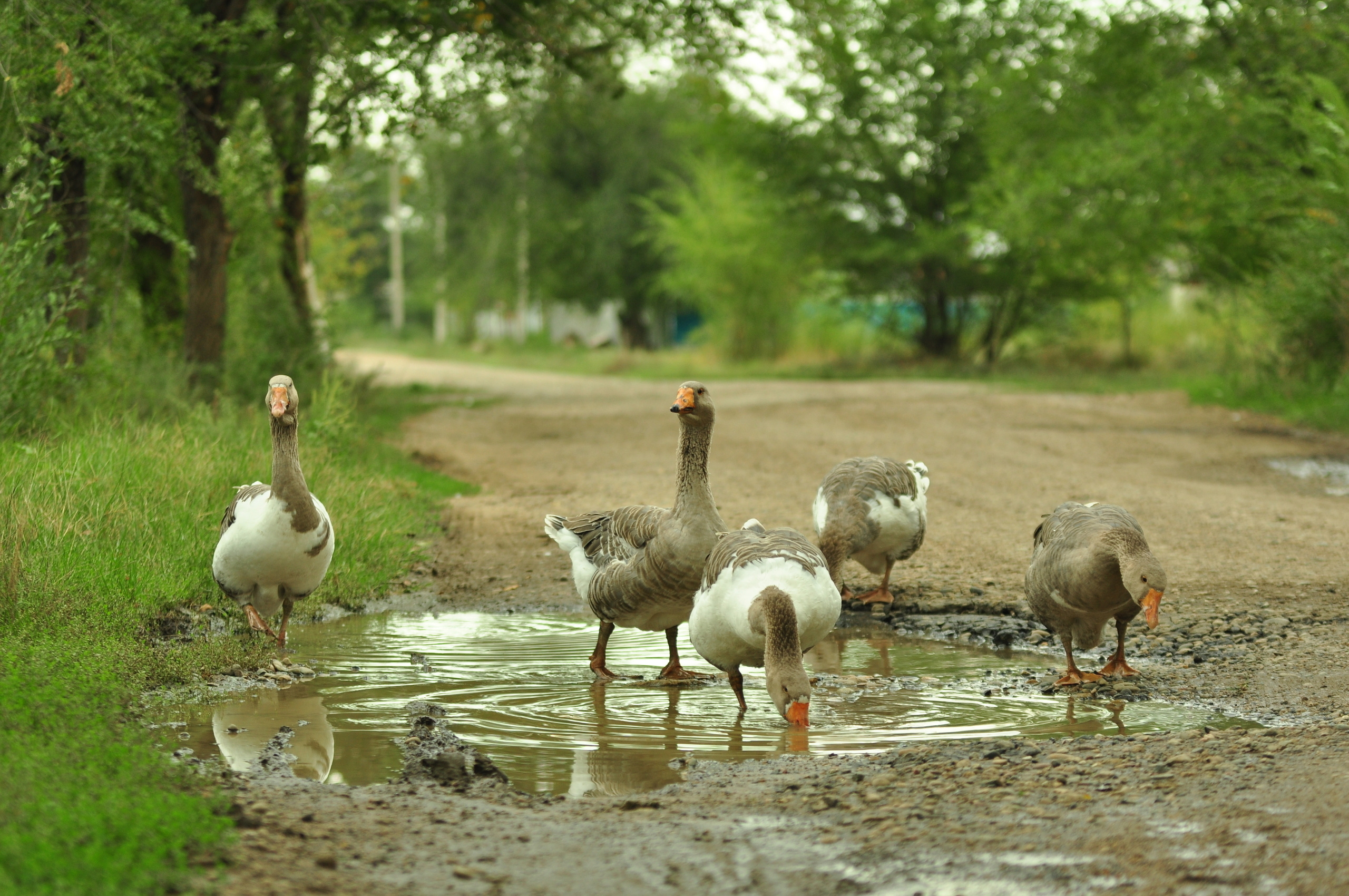 Природа. Фотограф в Санкт-Петербурге